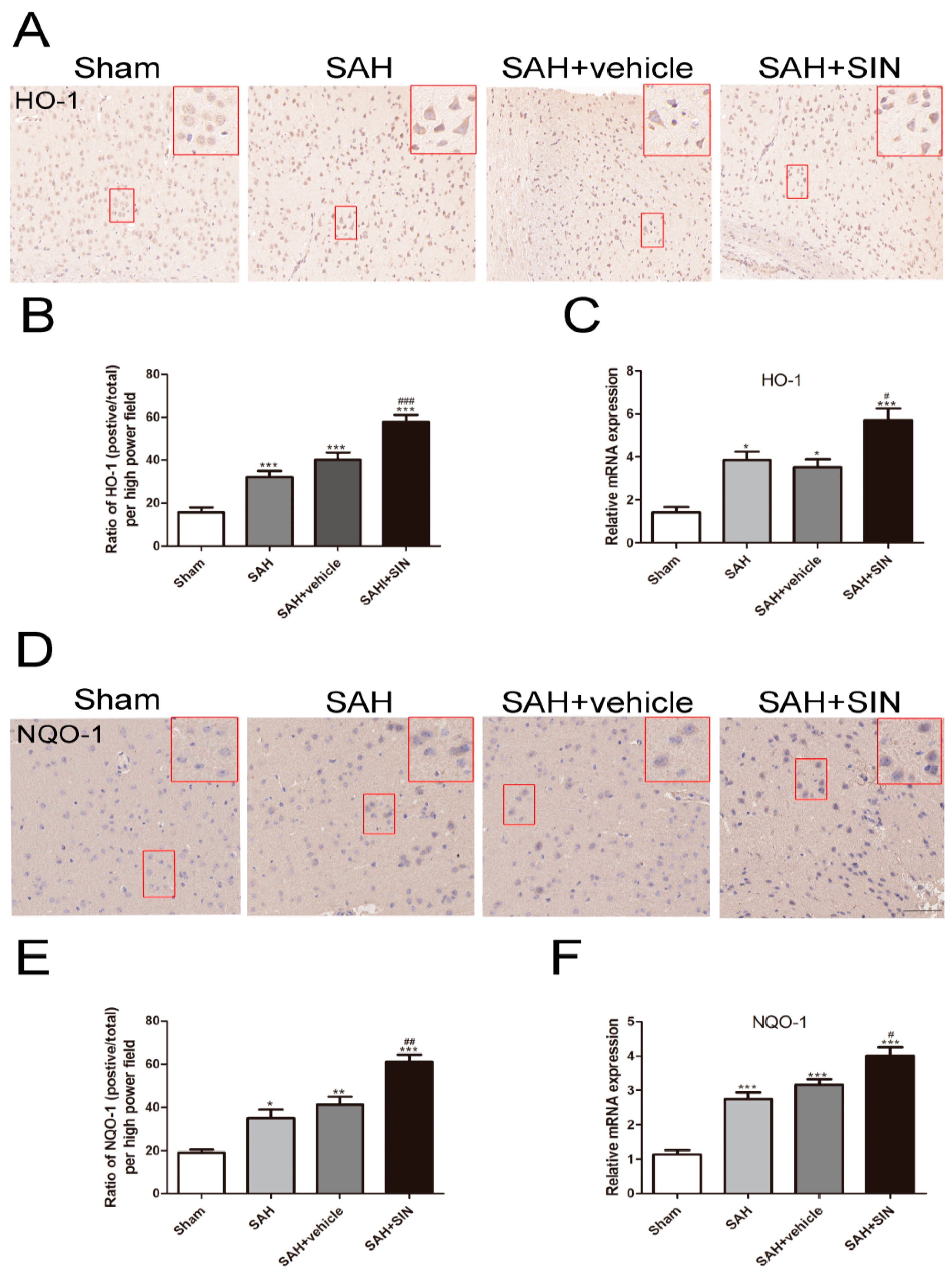 Brainsci 13 00716 g006 Brainsci 13 00716 g006
