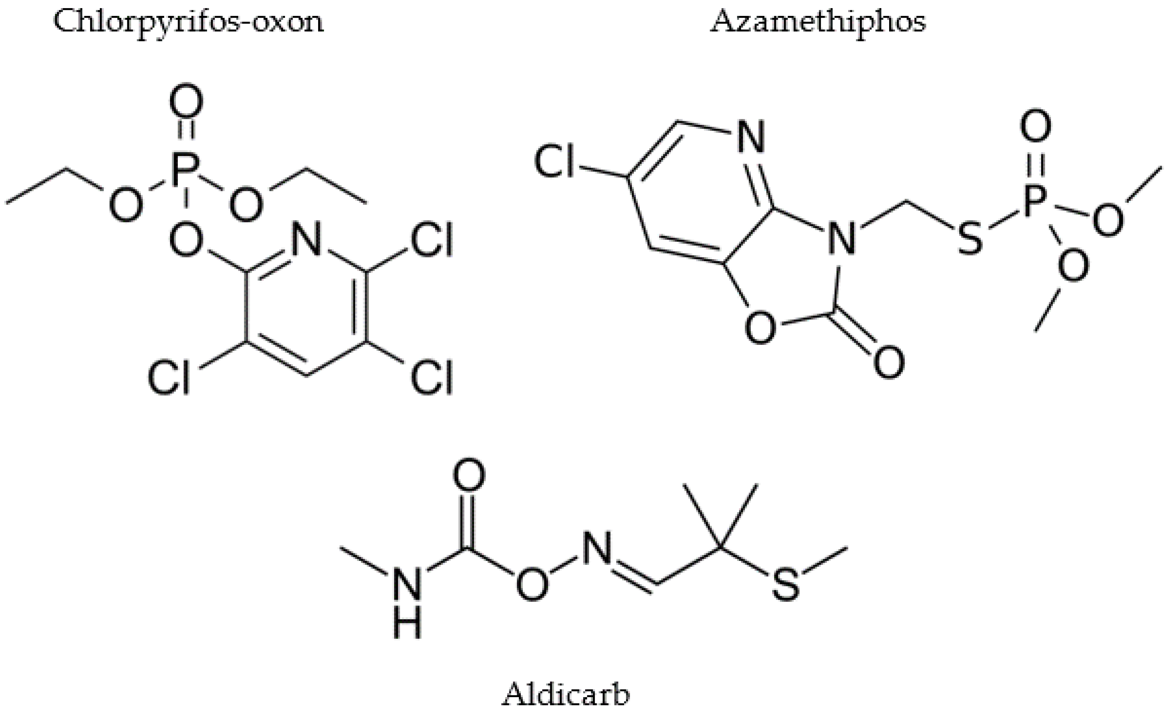 Brainsci 13 00728 g001 Brainsci 13 00728 g001