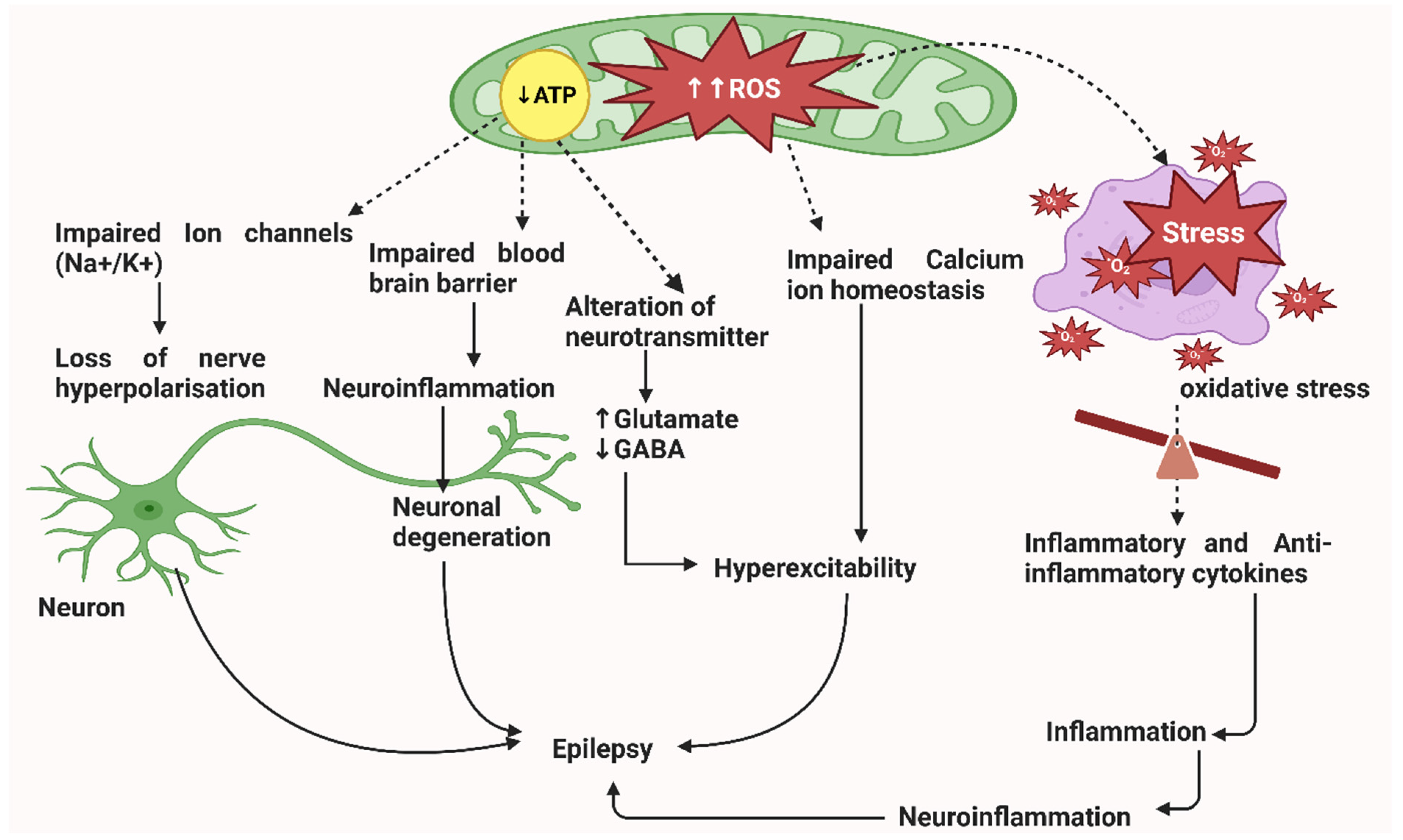 Brainsci 13 00732 g001 Brainsci 13 00732 g001
