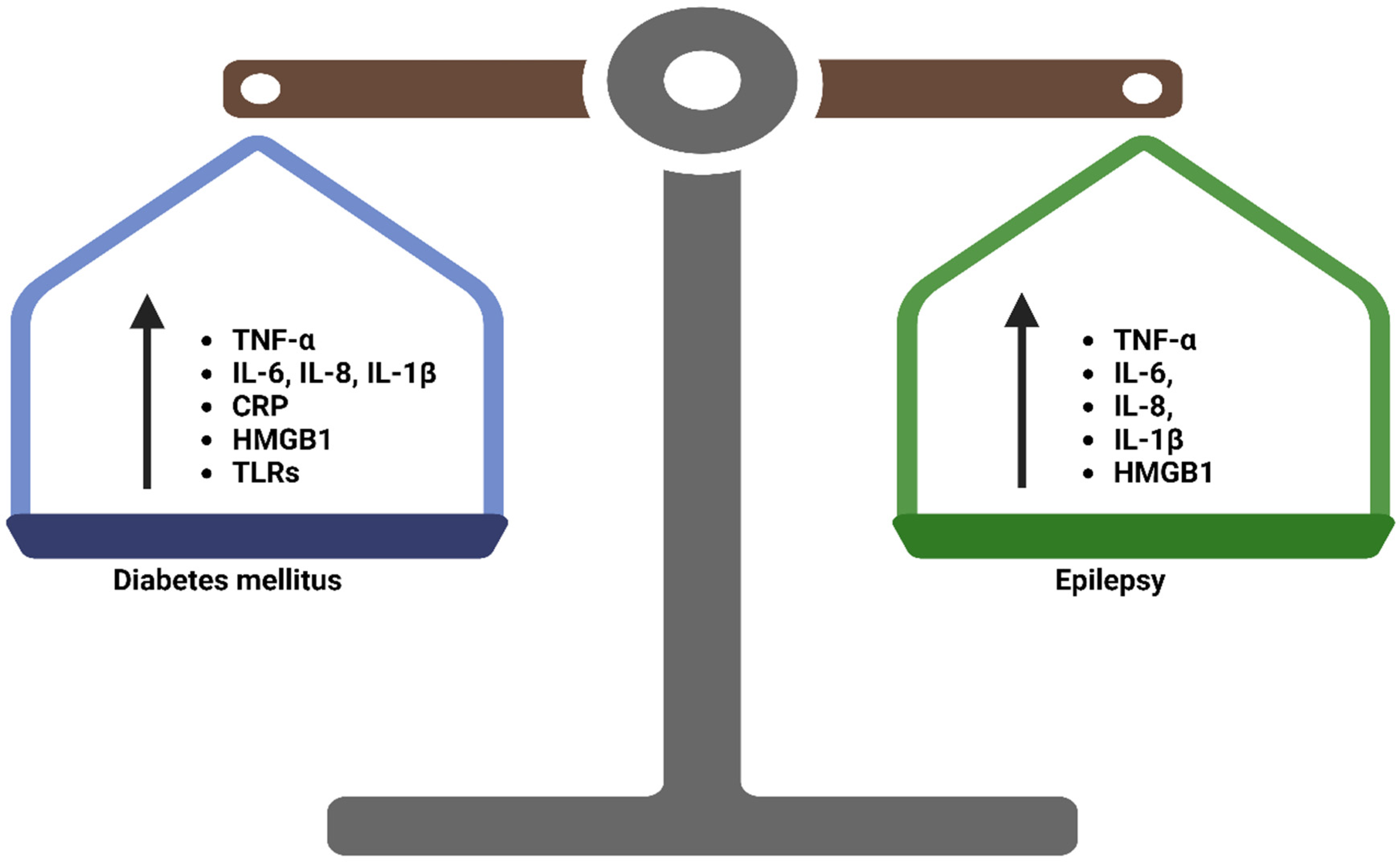 Brainsci 13 00732 g002 Brainsci 13 00732 g002