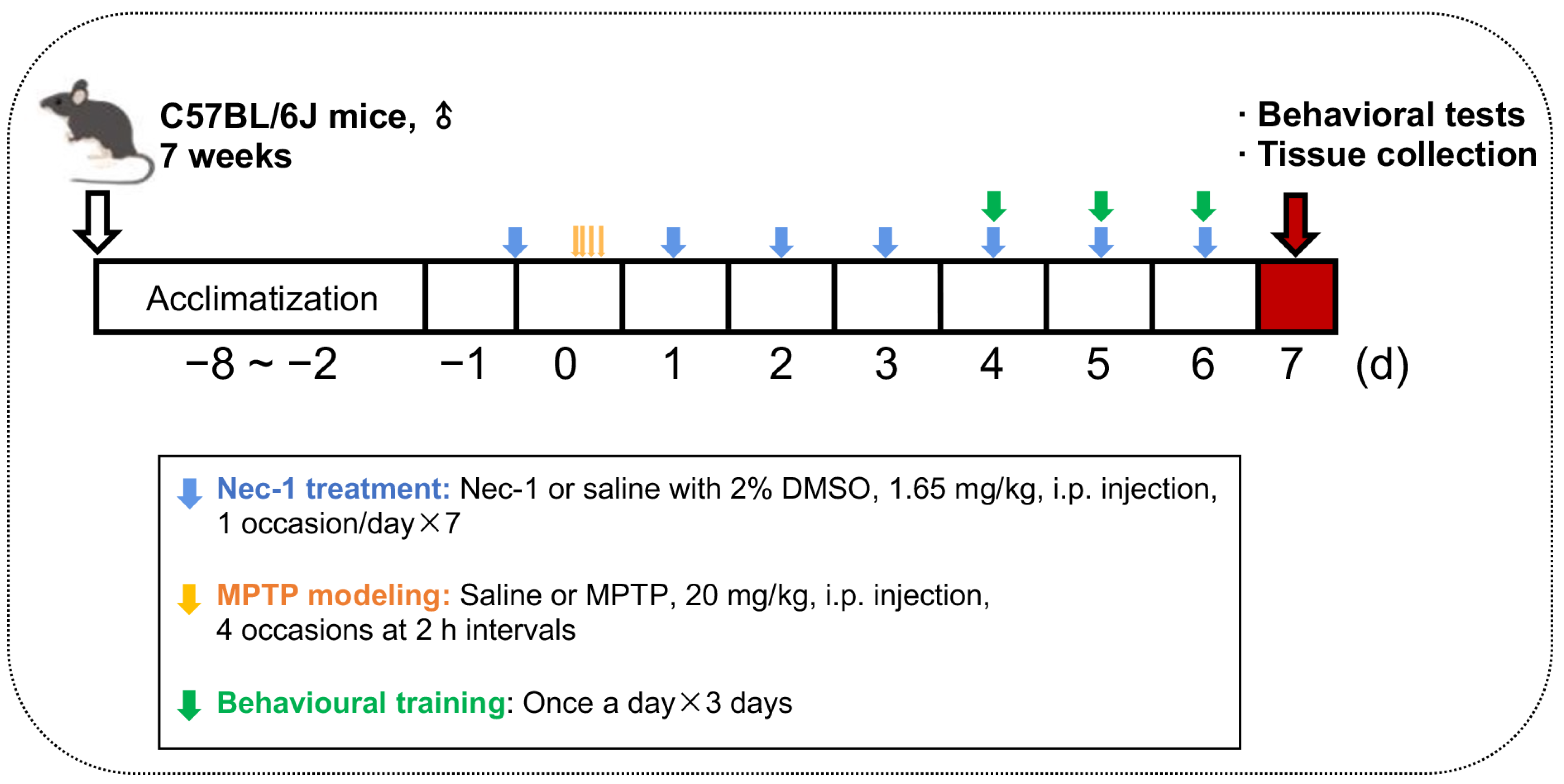 Brainsci 13 00733 g001 Brainsci 13 00733 g001