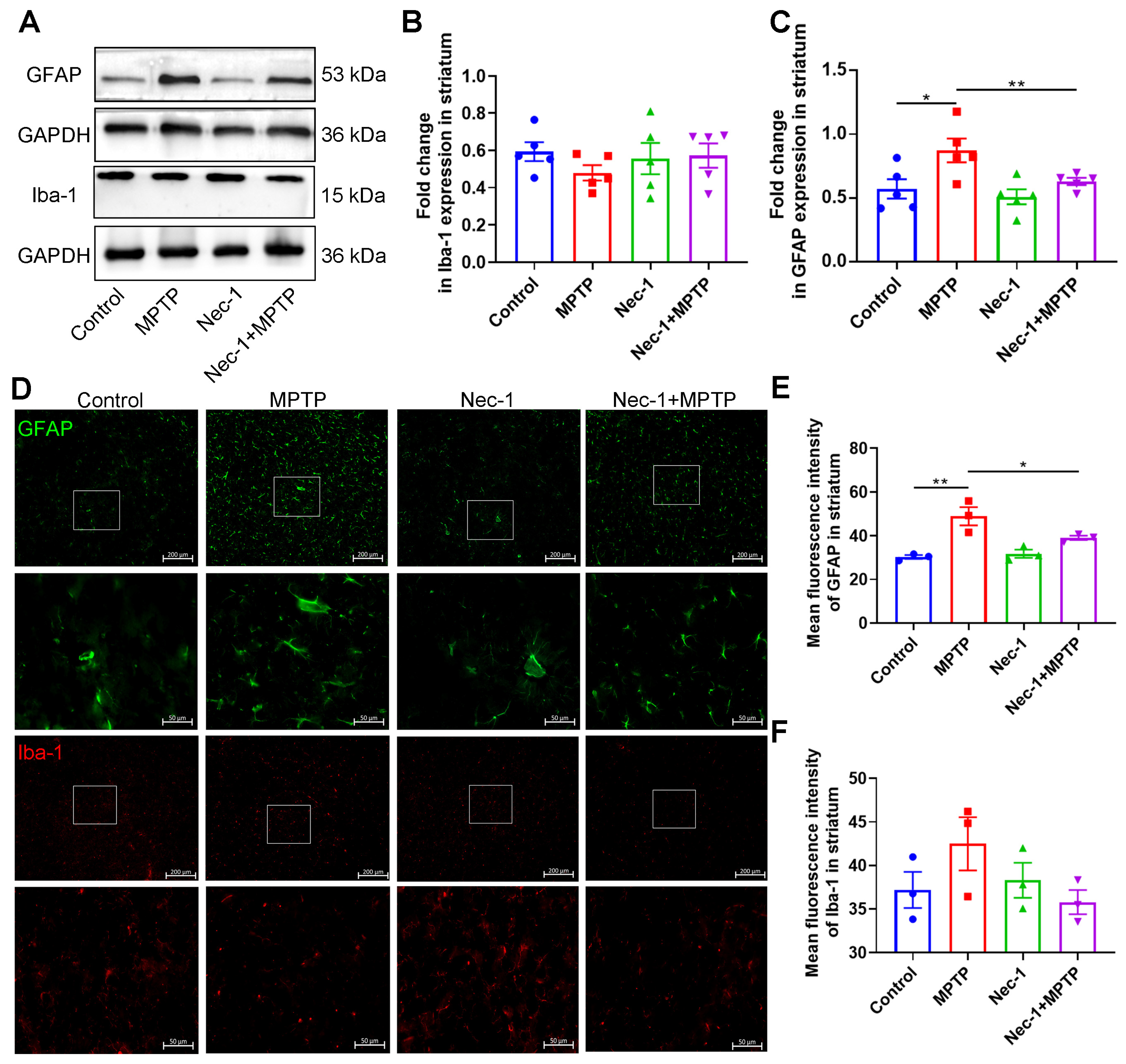 Brainsci 13 00733 g005 Brainsci 13 00733 g005