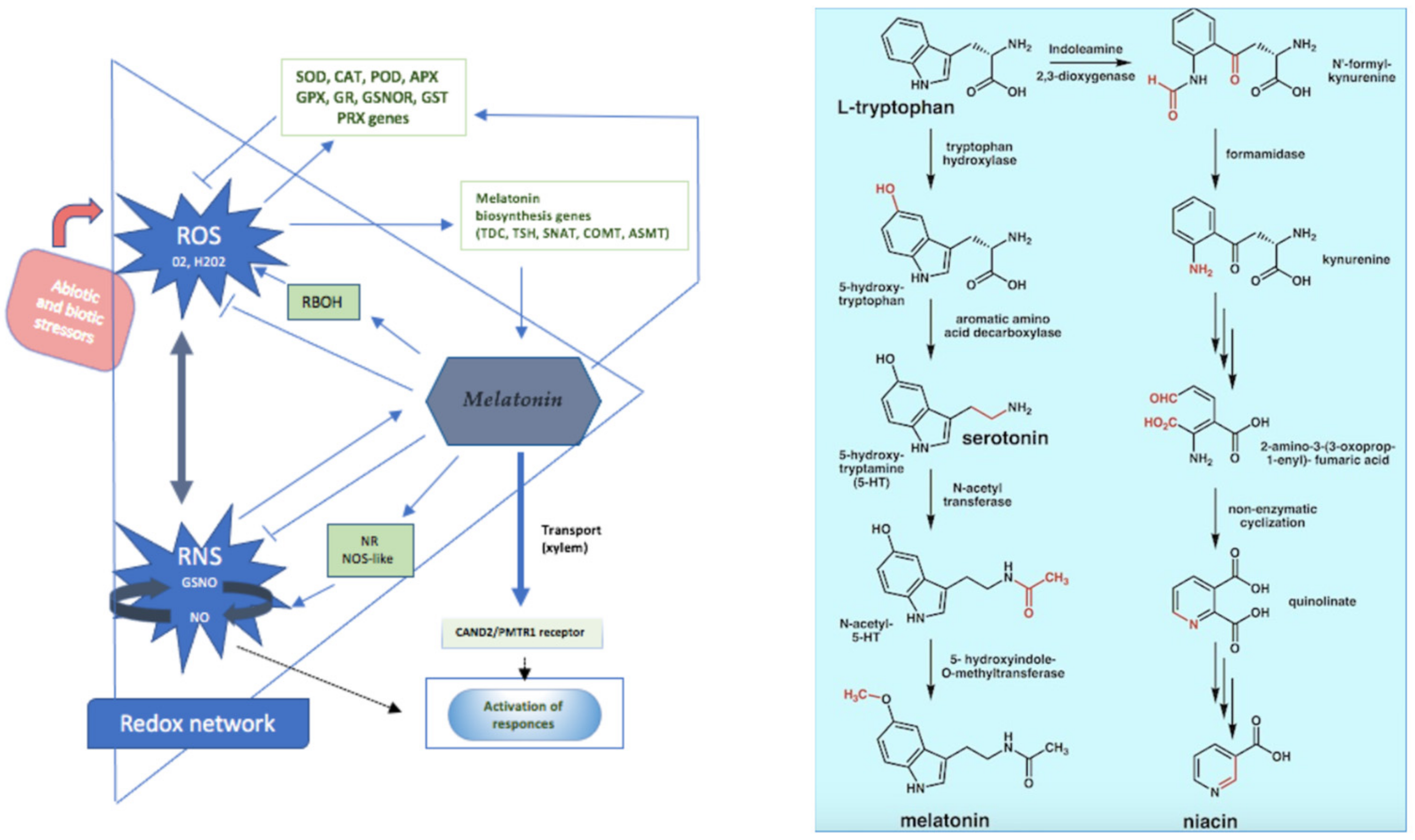 Brainsci 13 00734 g002 Brainsci 13 00734 g002