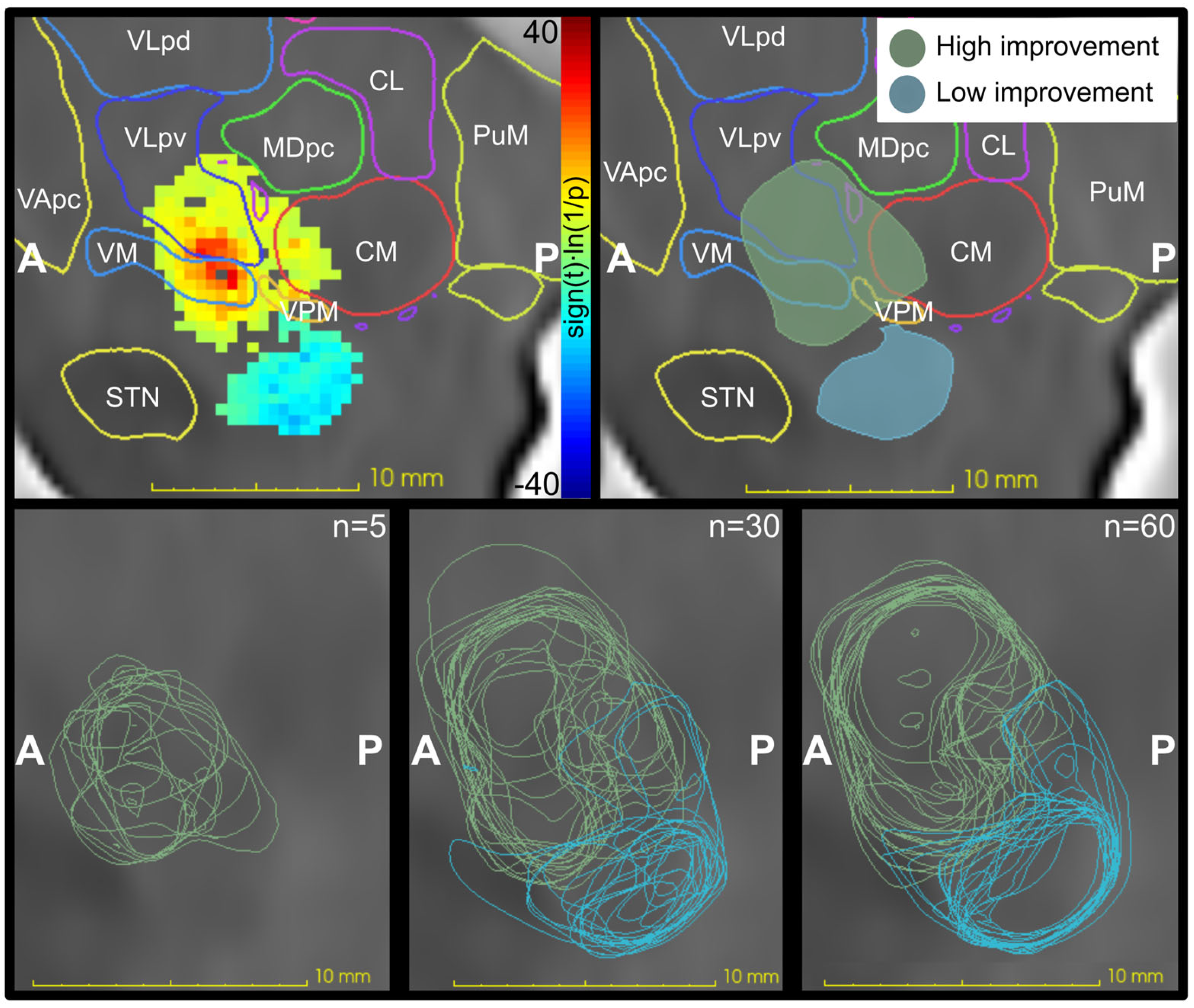 Brainsci 13 00756 g005 Brainsci 13 00756 g005
