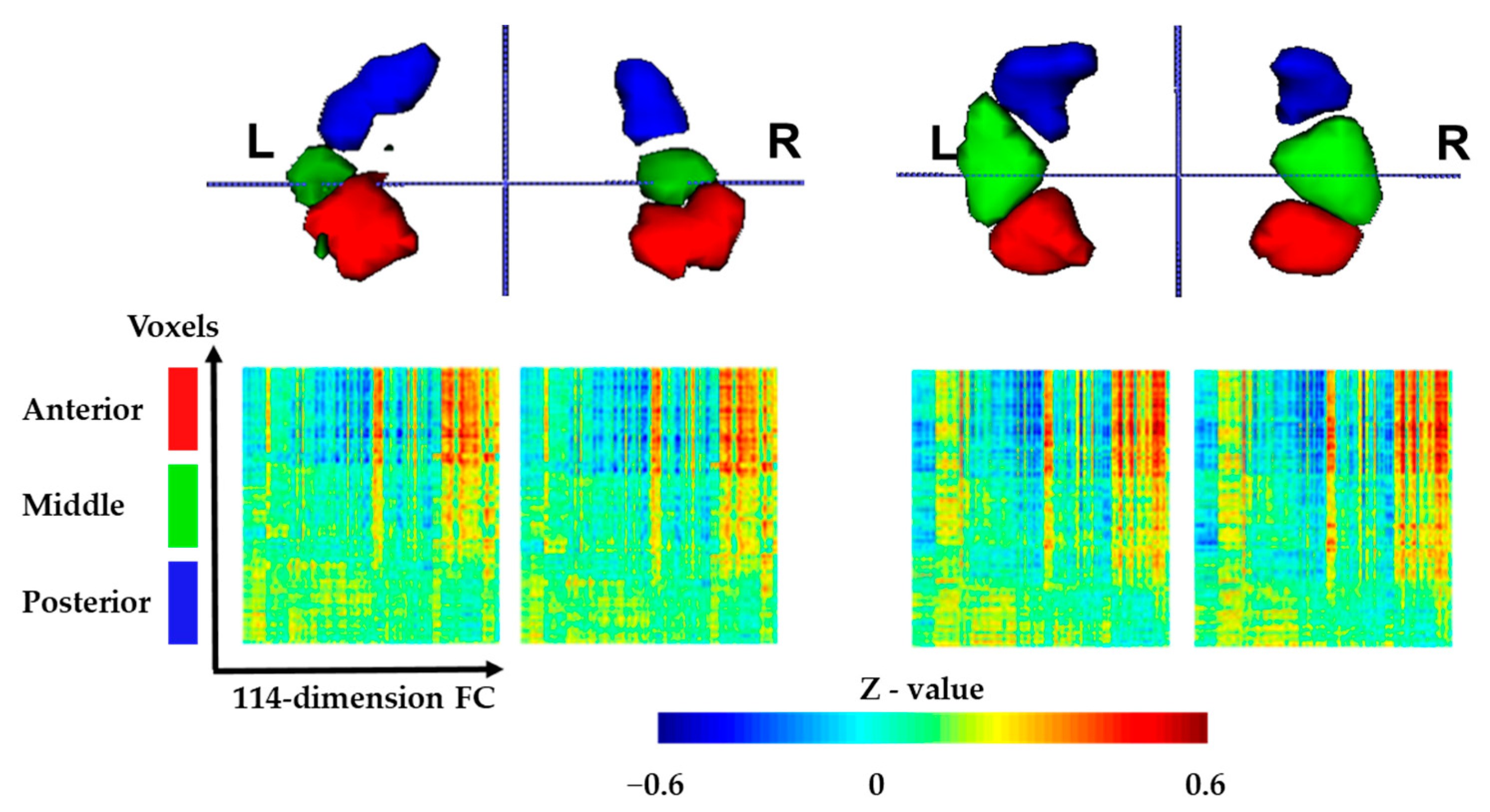 Brainsci 13 00757 g003 Brainsci 13 00757 g003
