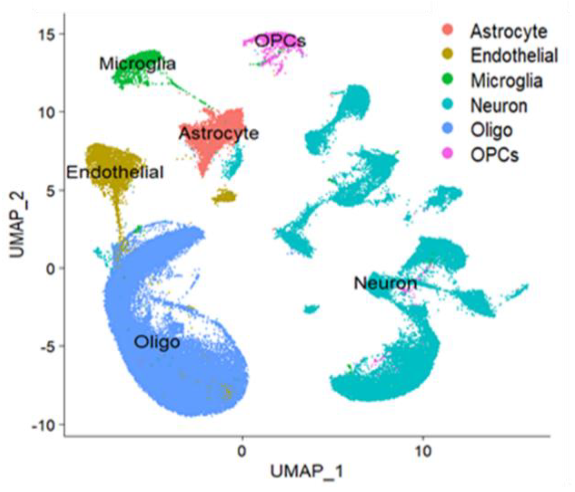 Brainsci 13 00762 g001 Brainsci 13 00762 g001