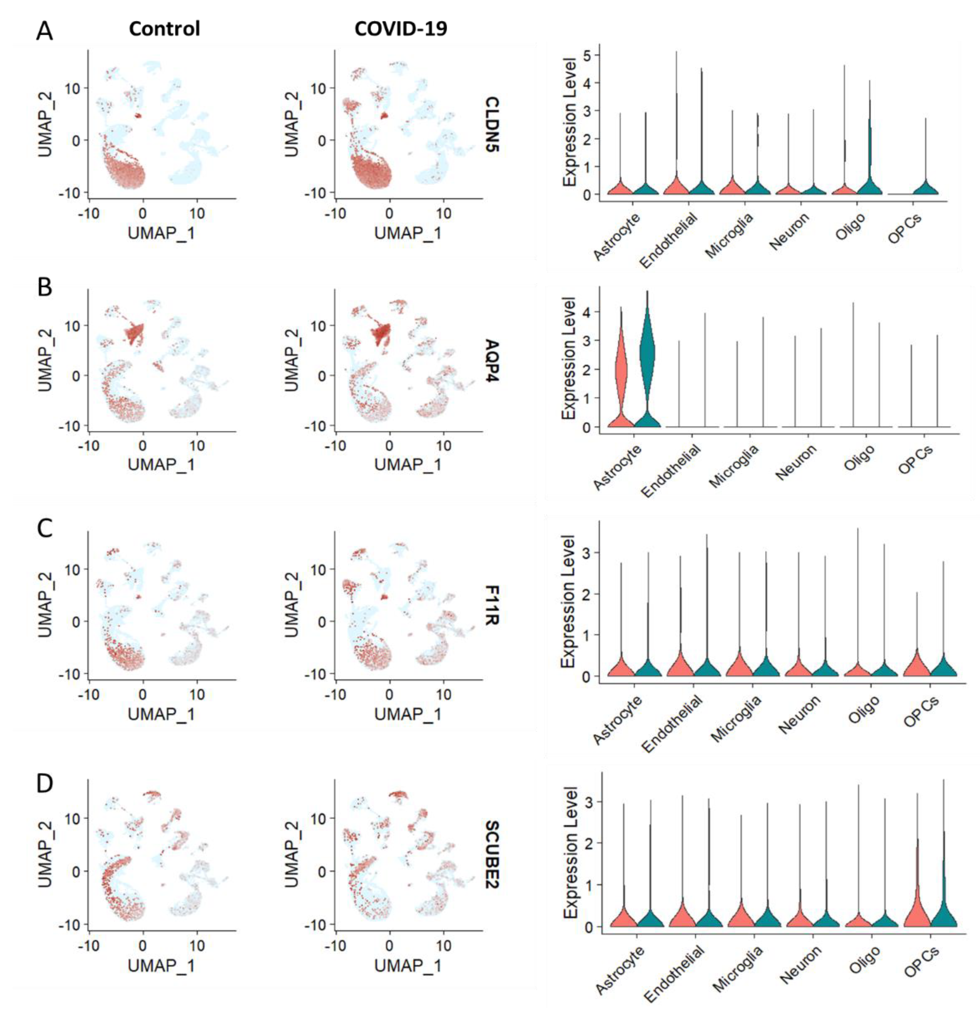 Brainsci 13 00762 g002 Brainsci 13 00762 g002