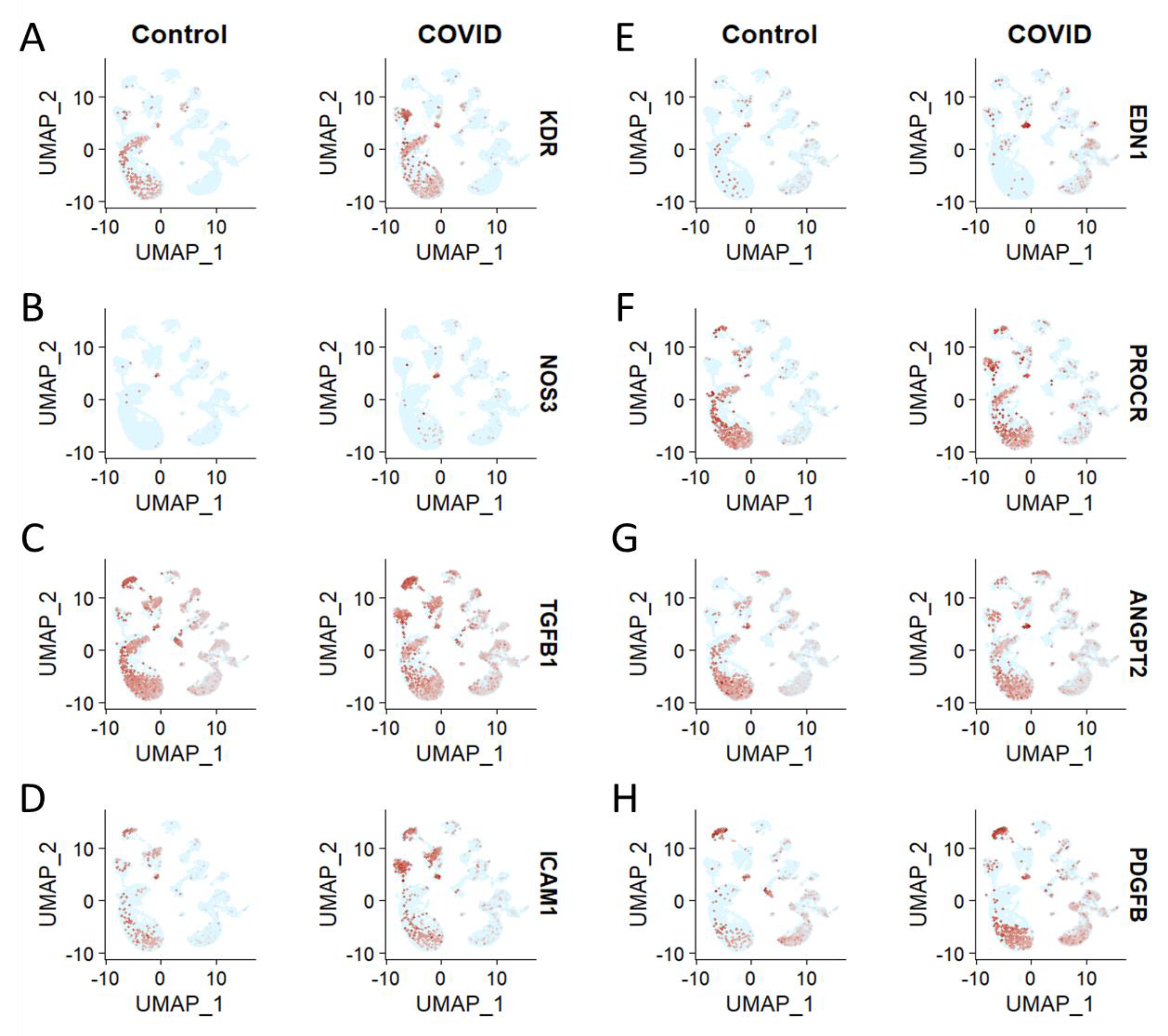 Brainsci 13 00762 g003 Brainsci 13 00762 g003