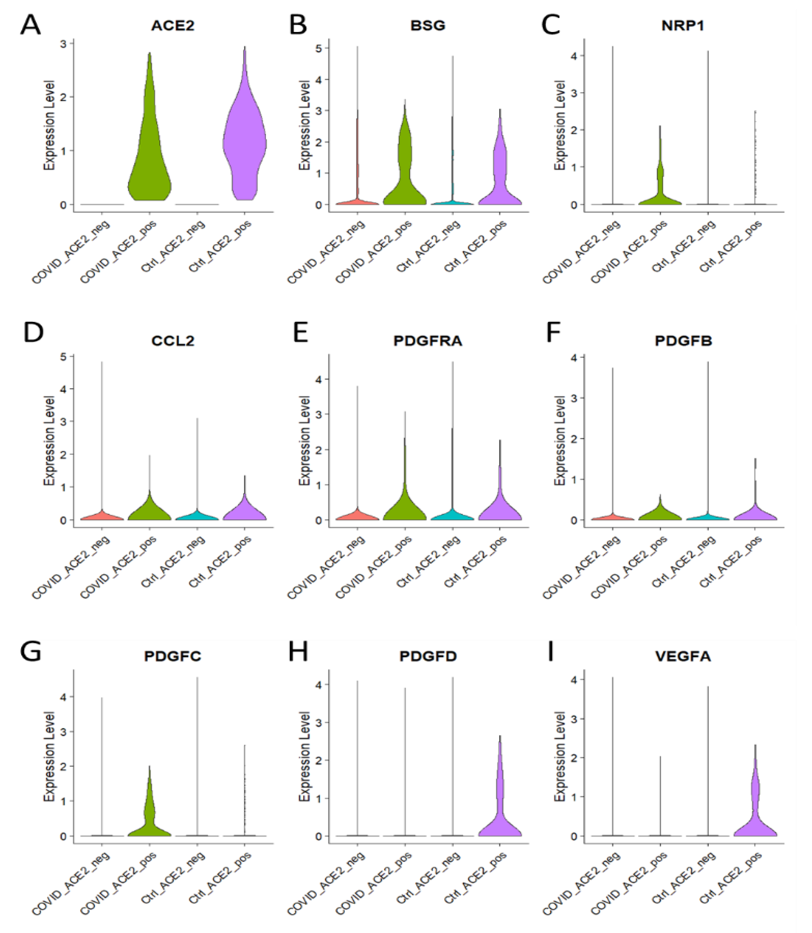 Brainsci 13 00762 g004 Brainsci 13 00762 g004