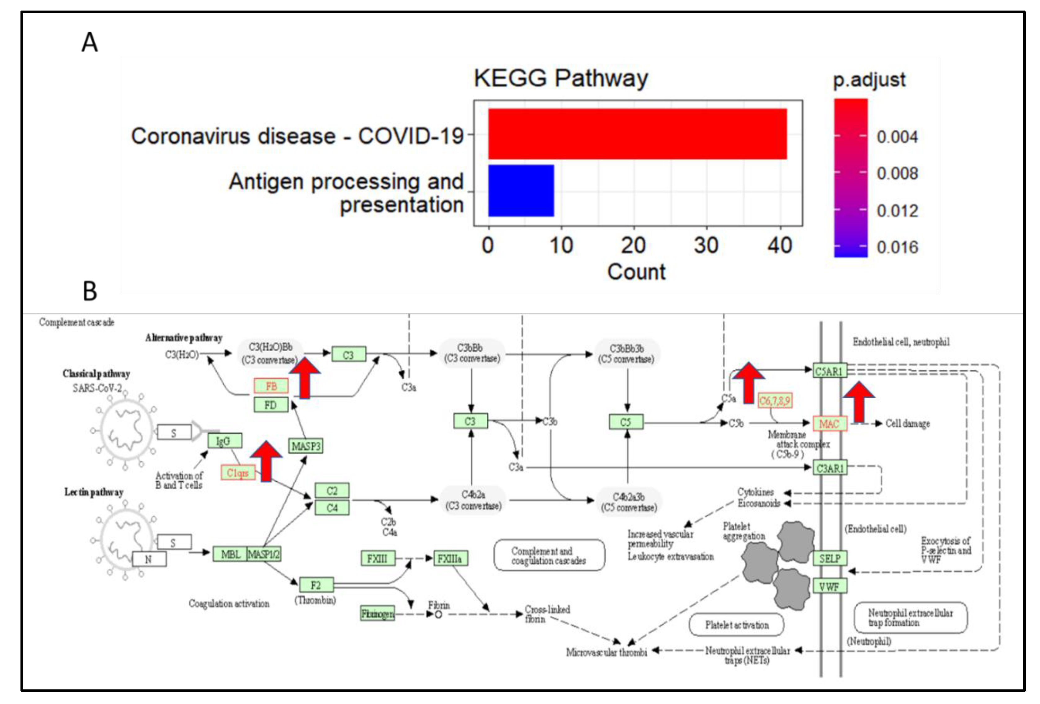 Brainsci 13 00762 g005 Brainsci 13 00762 g005