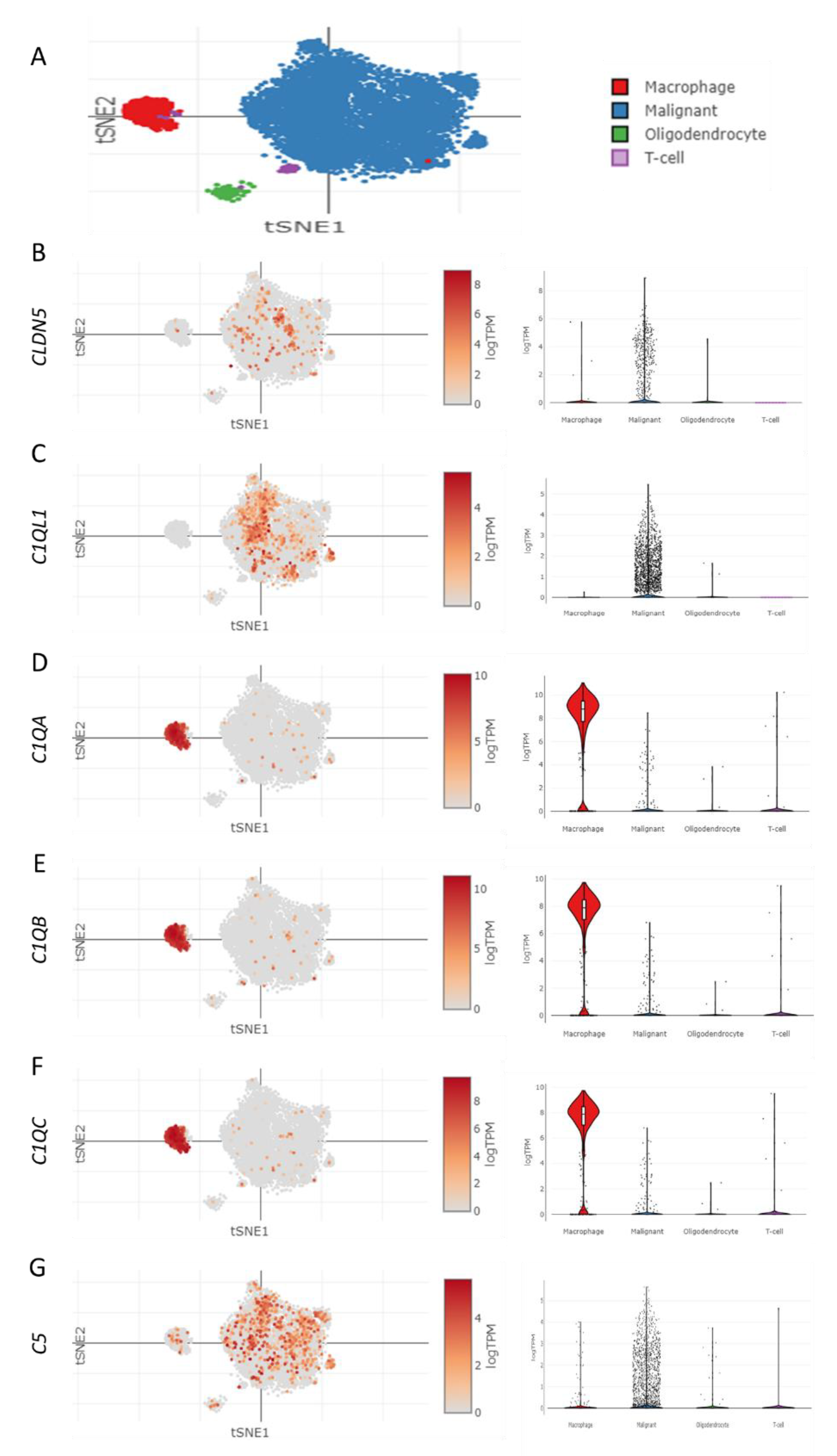 Brainsci 13 00762 g006 Brainsci 13 00762 g006