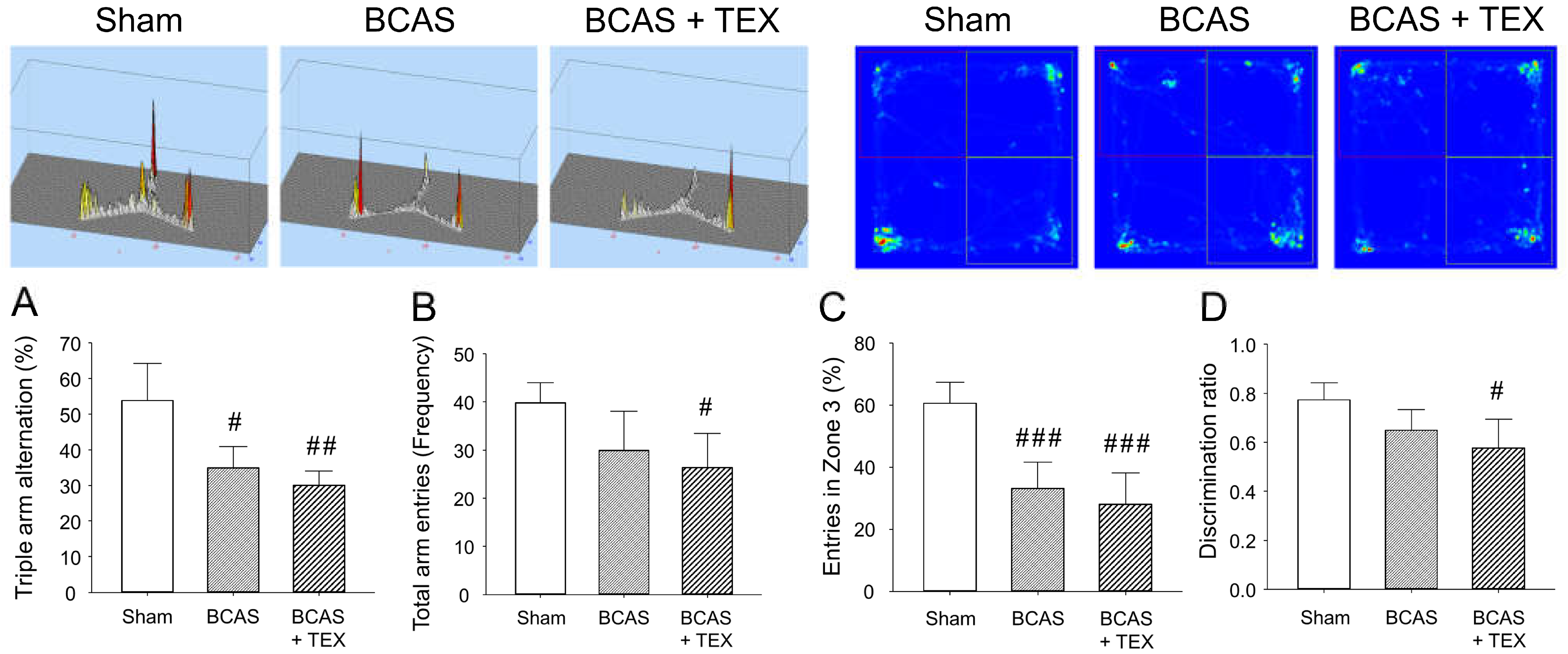 Brainsci 13 00781 g004 Brainsci 13 00781 g004