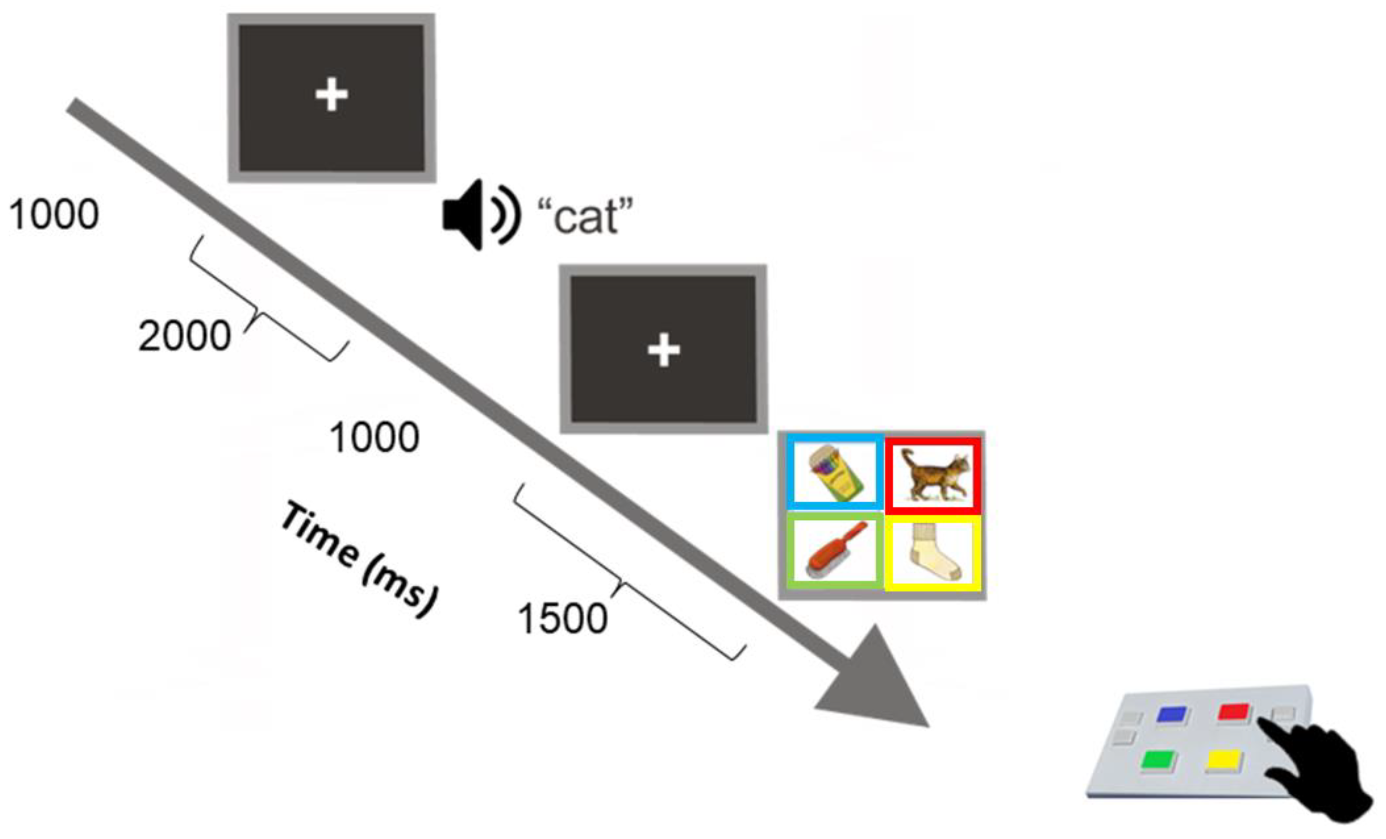 Brainsci 13 00783 g002