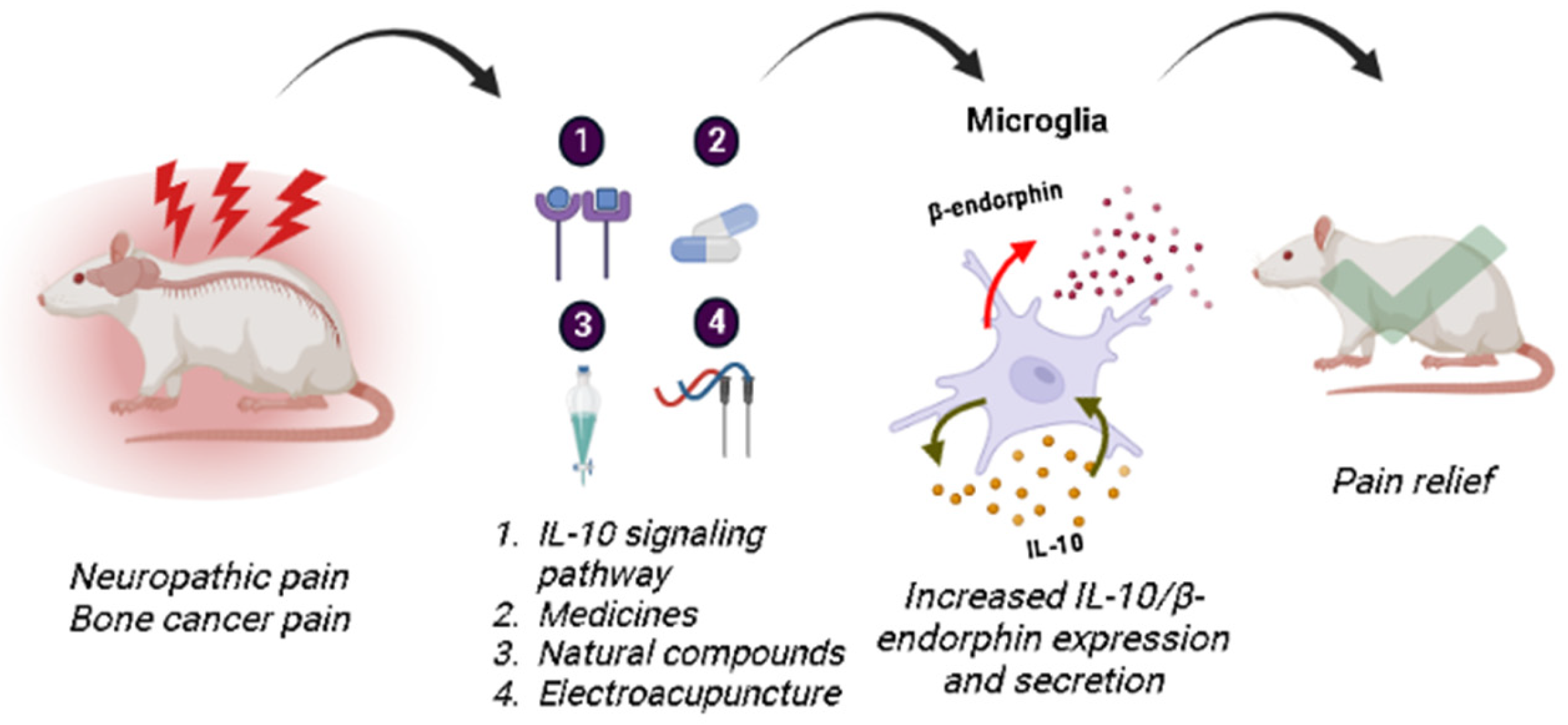IL-10/β-Endorphin-Mediated Neuroimmune Modulation on