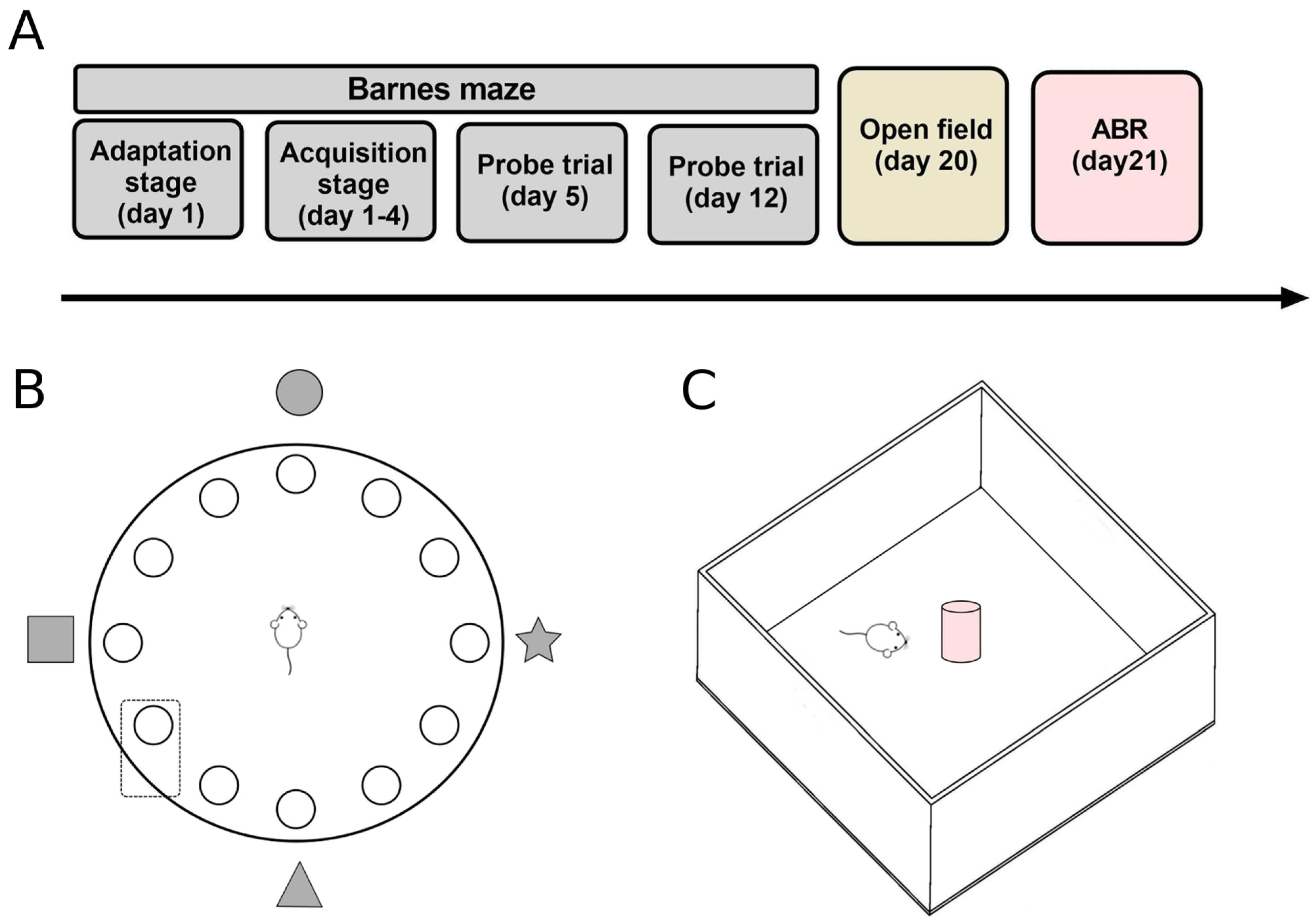 Brainsci 13 00794 g001