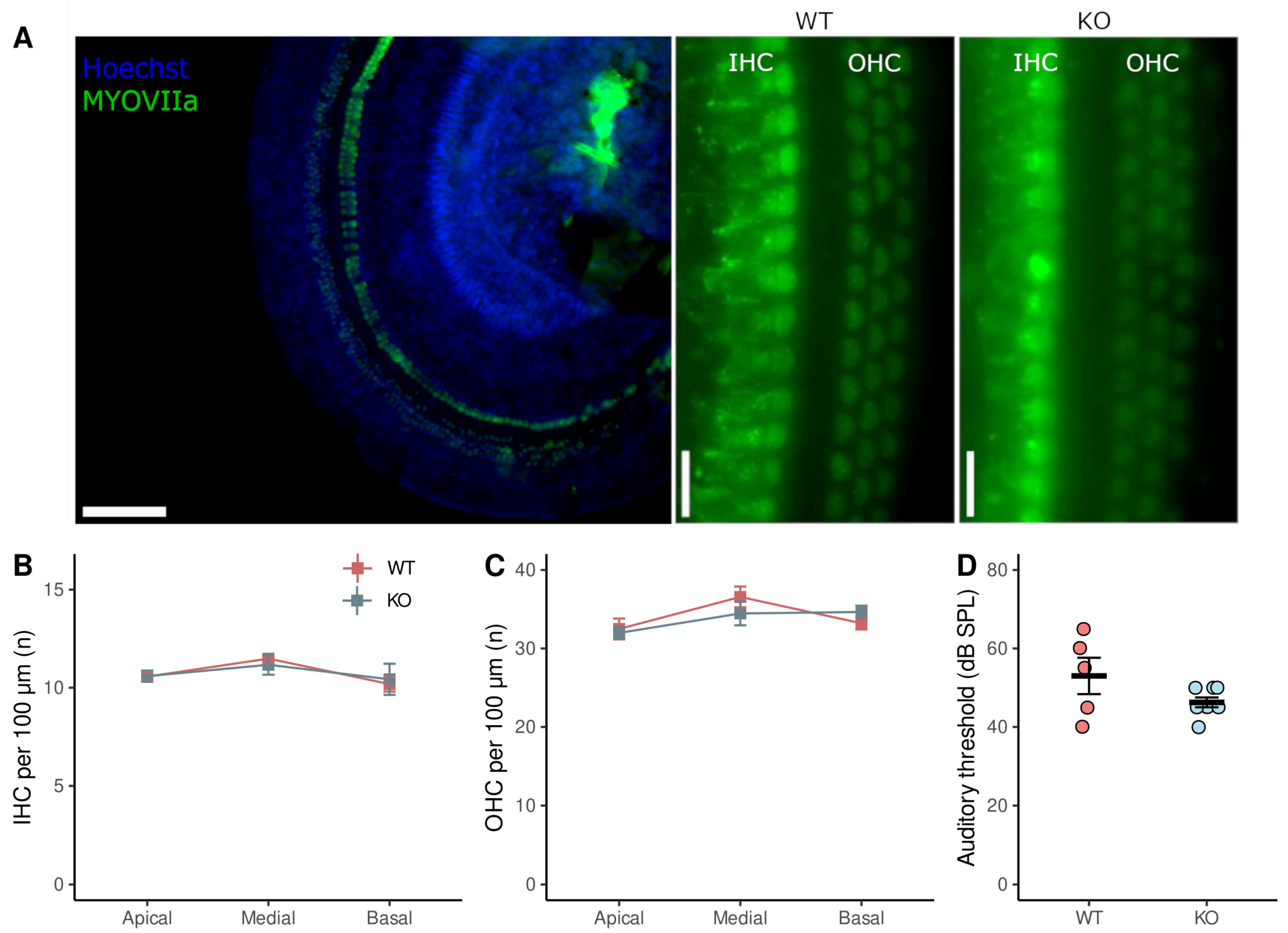 Brainsci 13 00794 g005