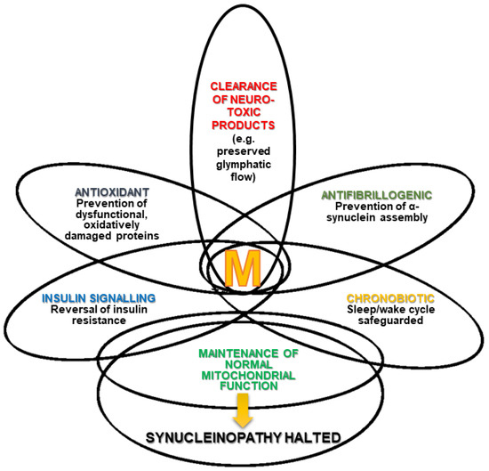 Brain Sciences Free FullText Melatonin as a Chronobiotic