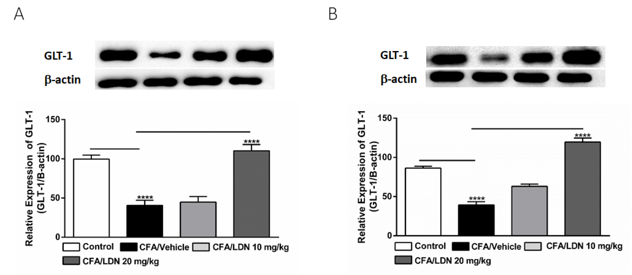 Brainsci 13 00807 g007