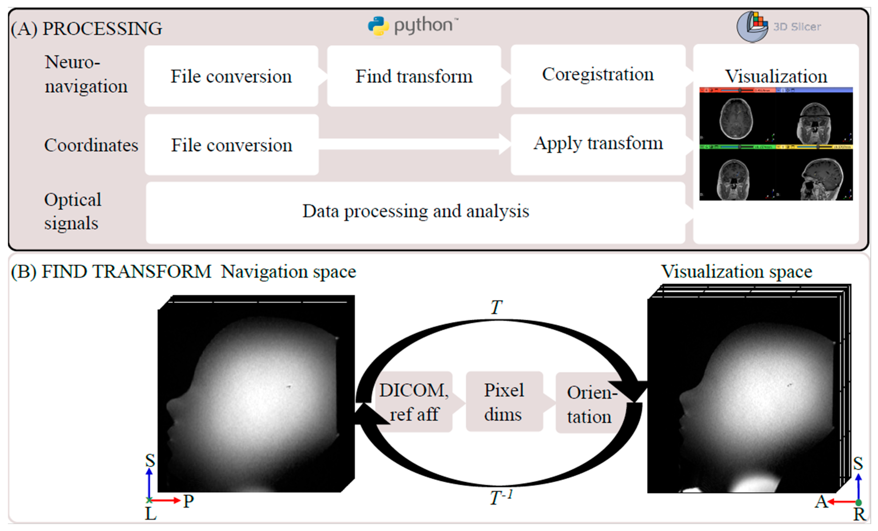 Brainsci 13 00809 g002