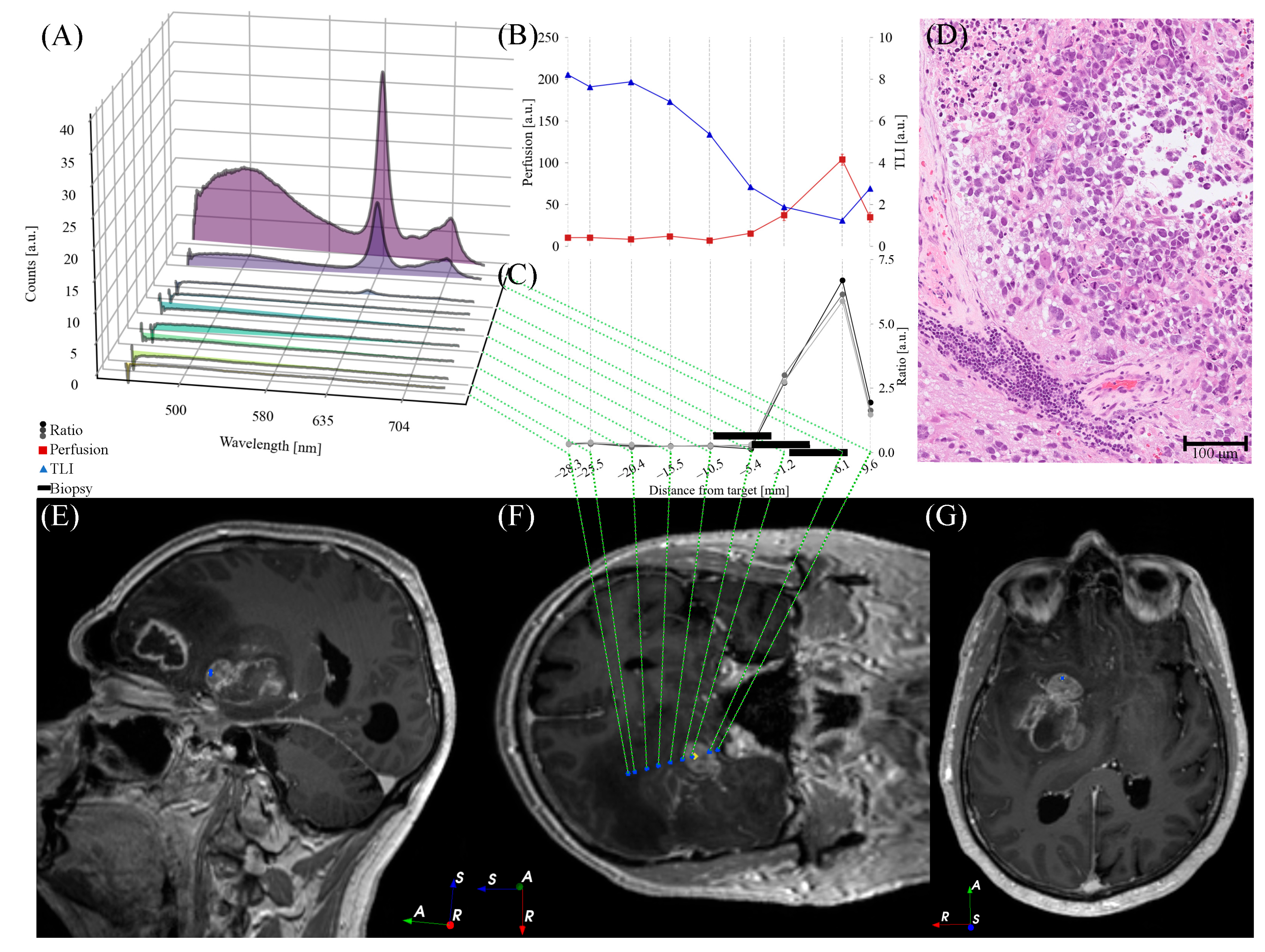 Brainsci 13 00809 g006