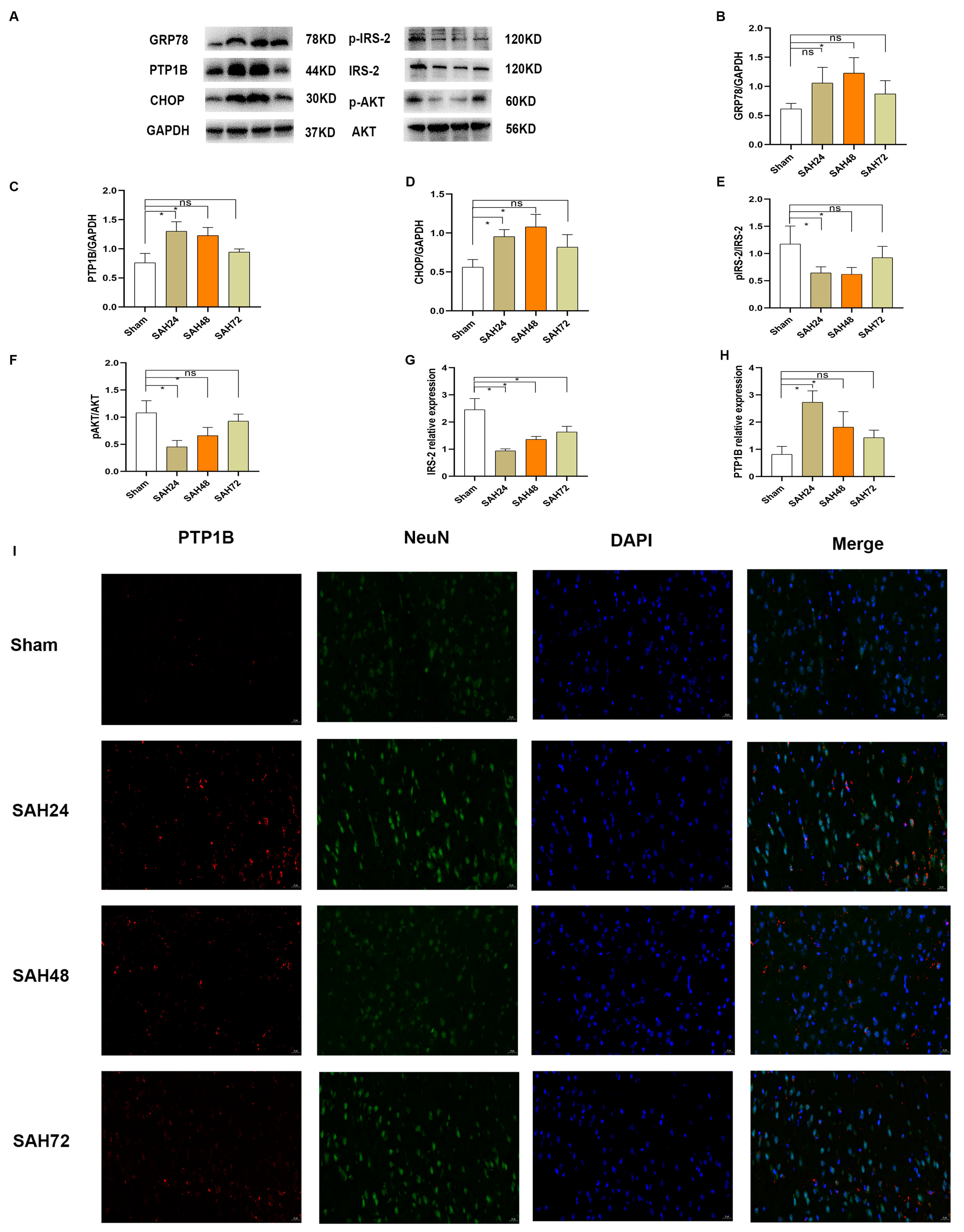 Brainsci 13 00816 g002