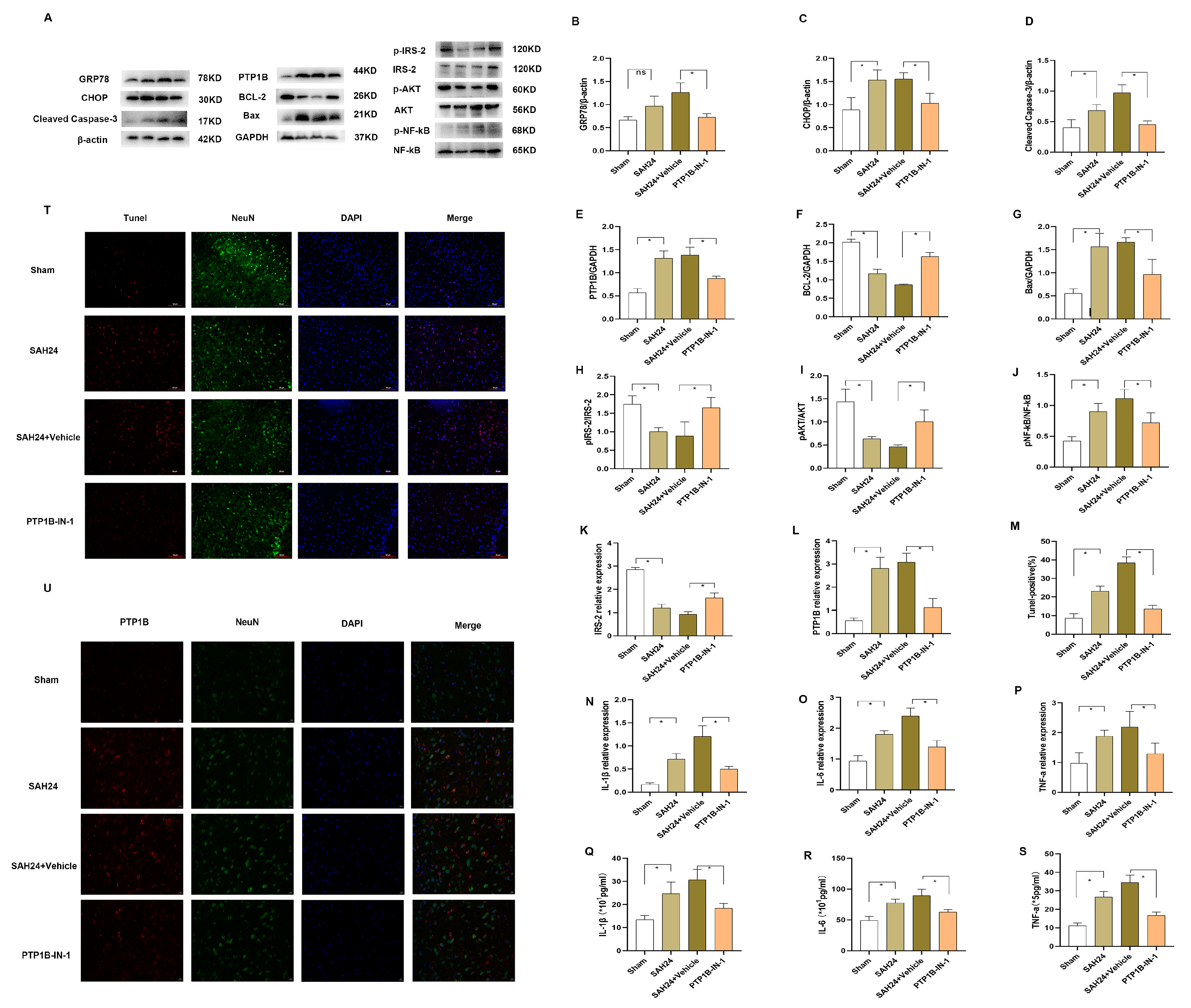 Brainsci 13 00816 g003