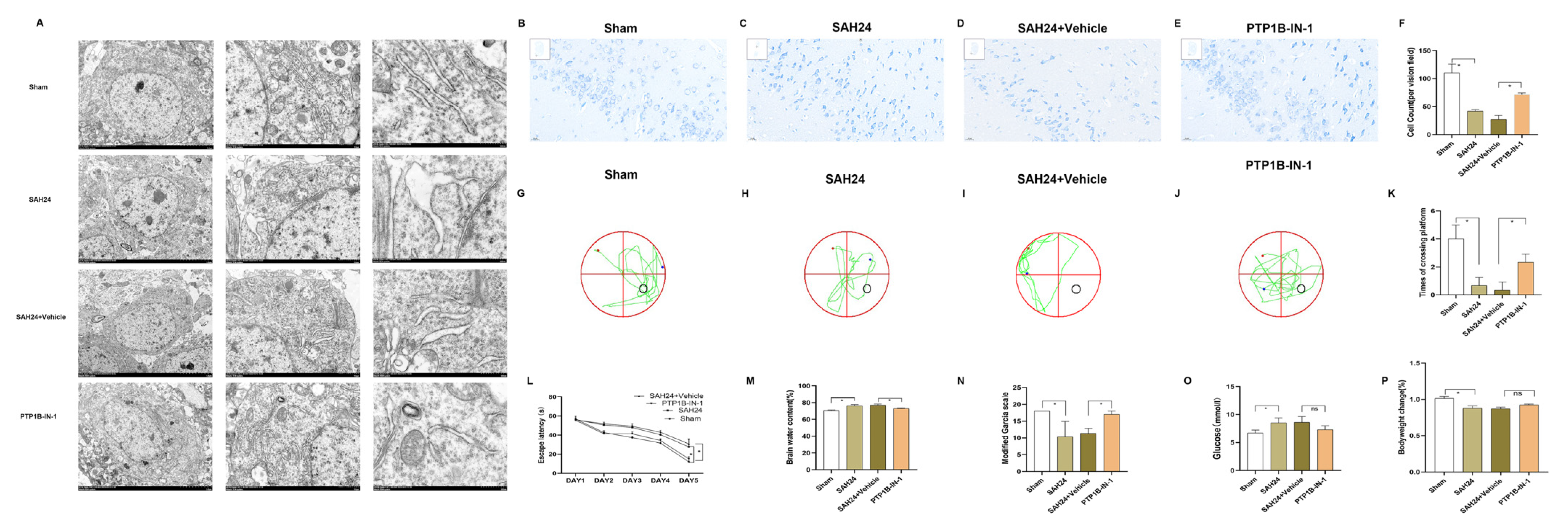 Brainsci 13 00816 g004