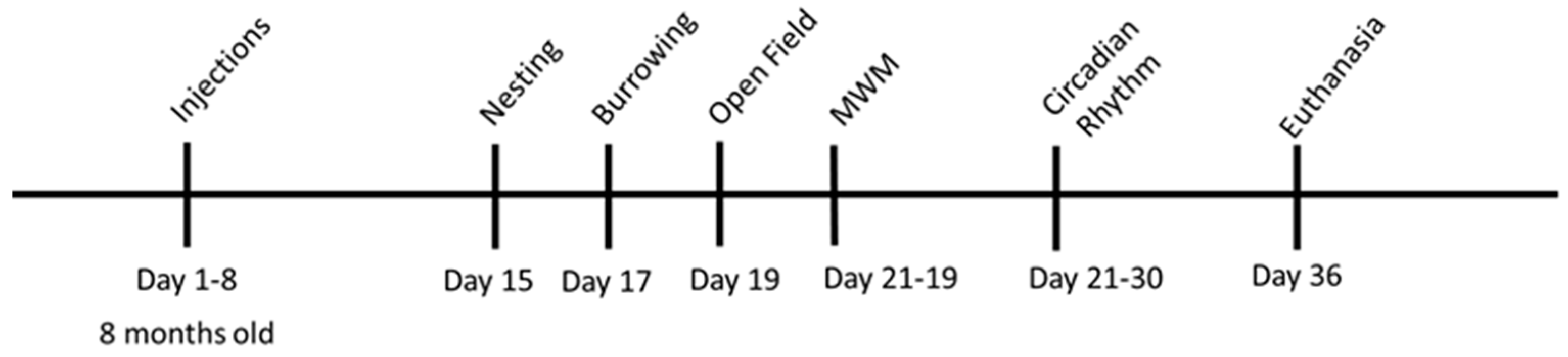 Brainsci 13 00841 g001
