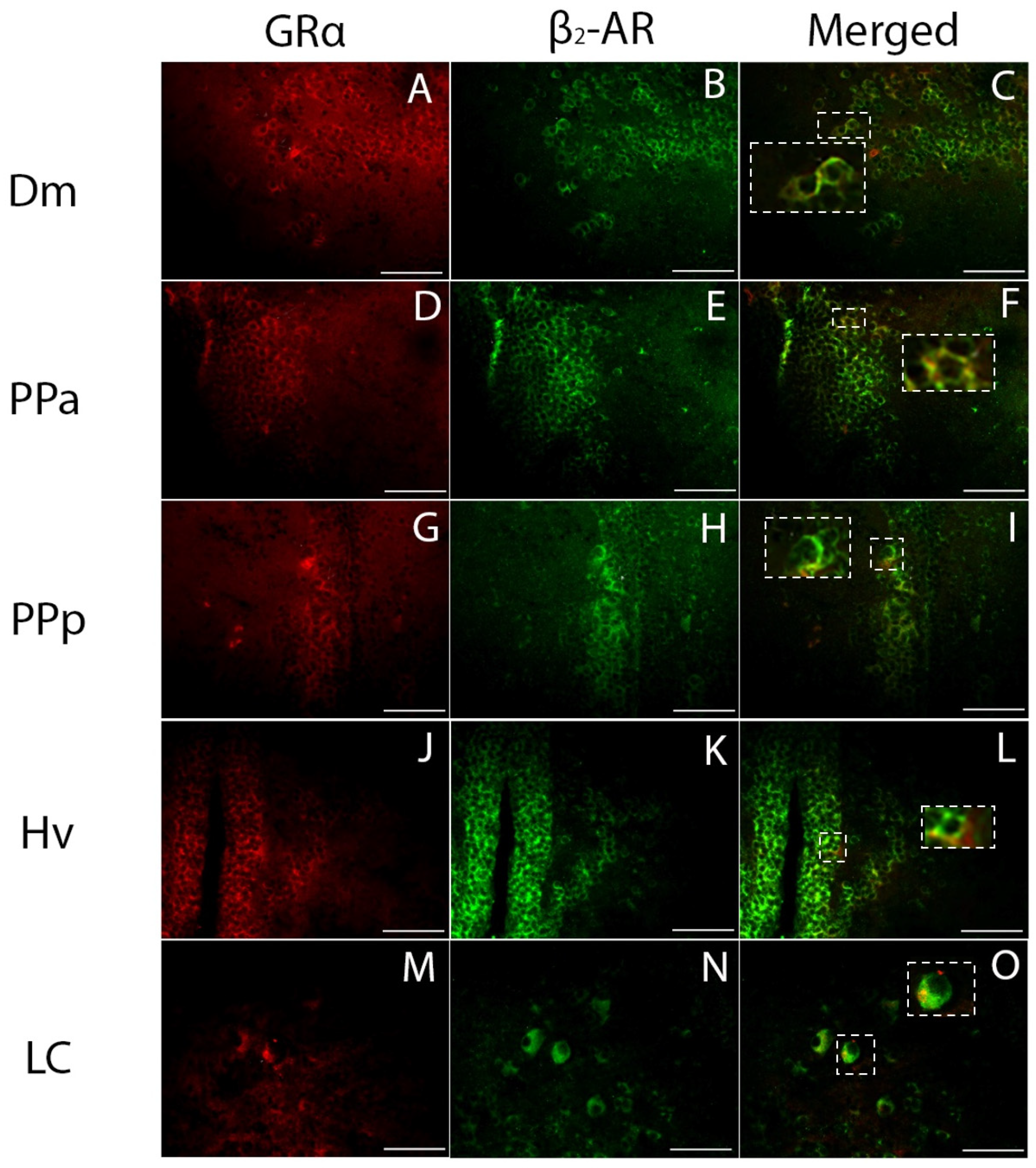 Brainsci 13 00861 g005