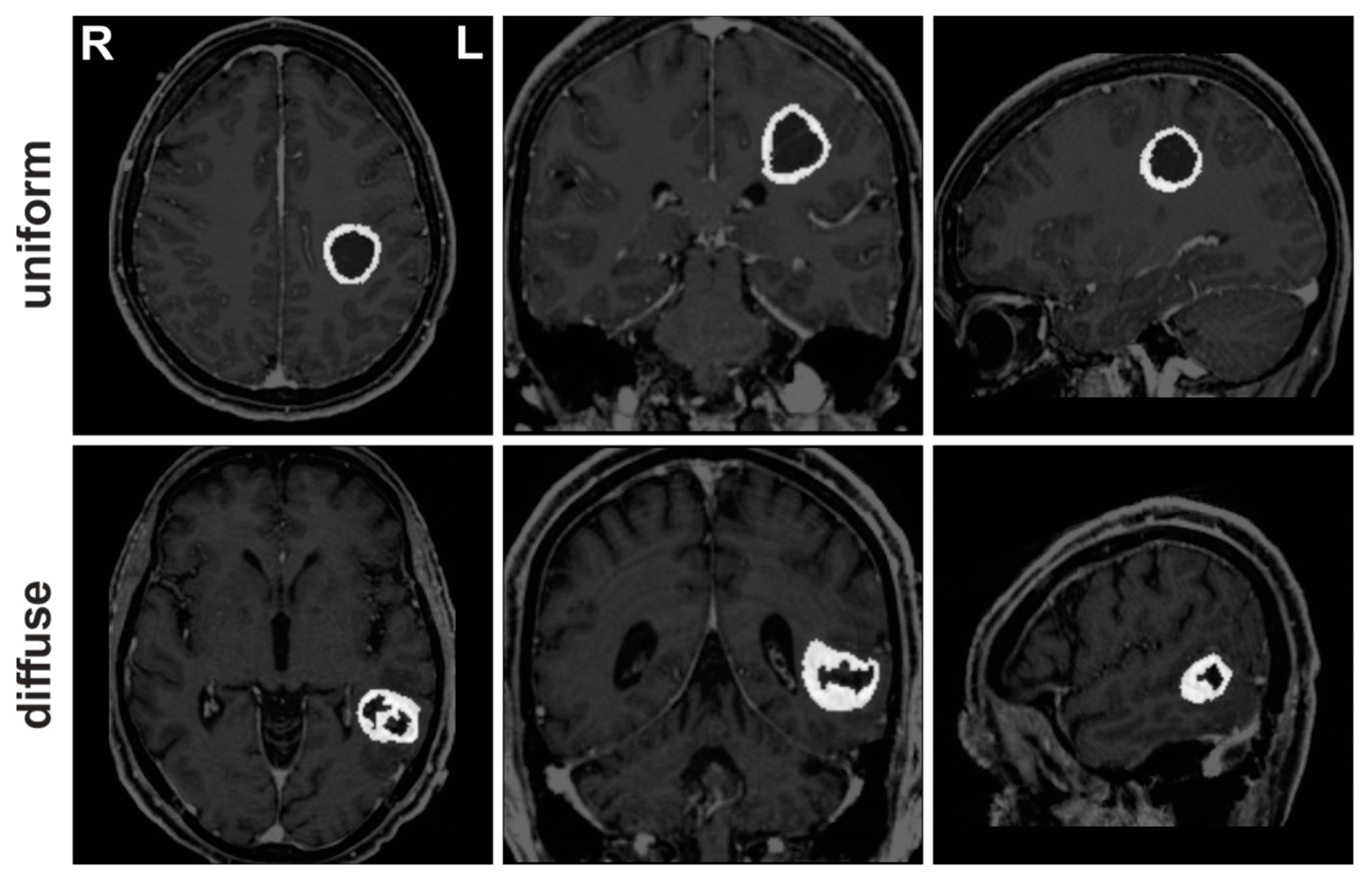 Brainsci 13 00867 g001