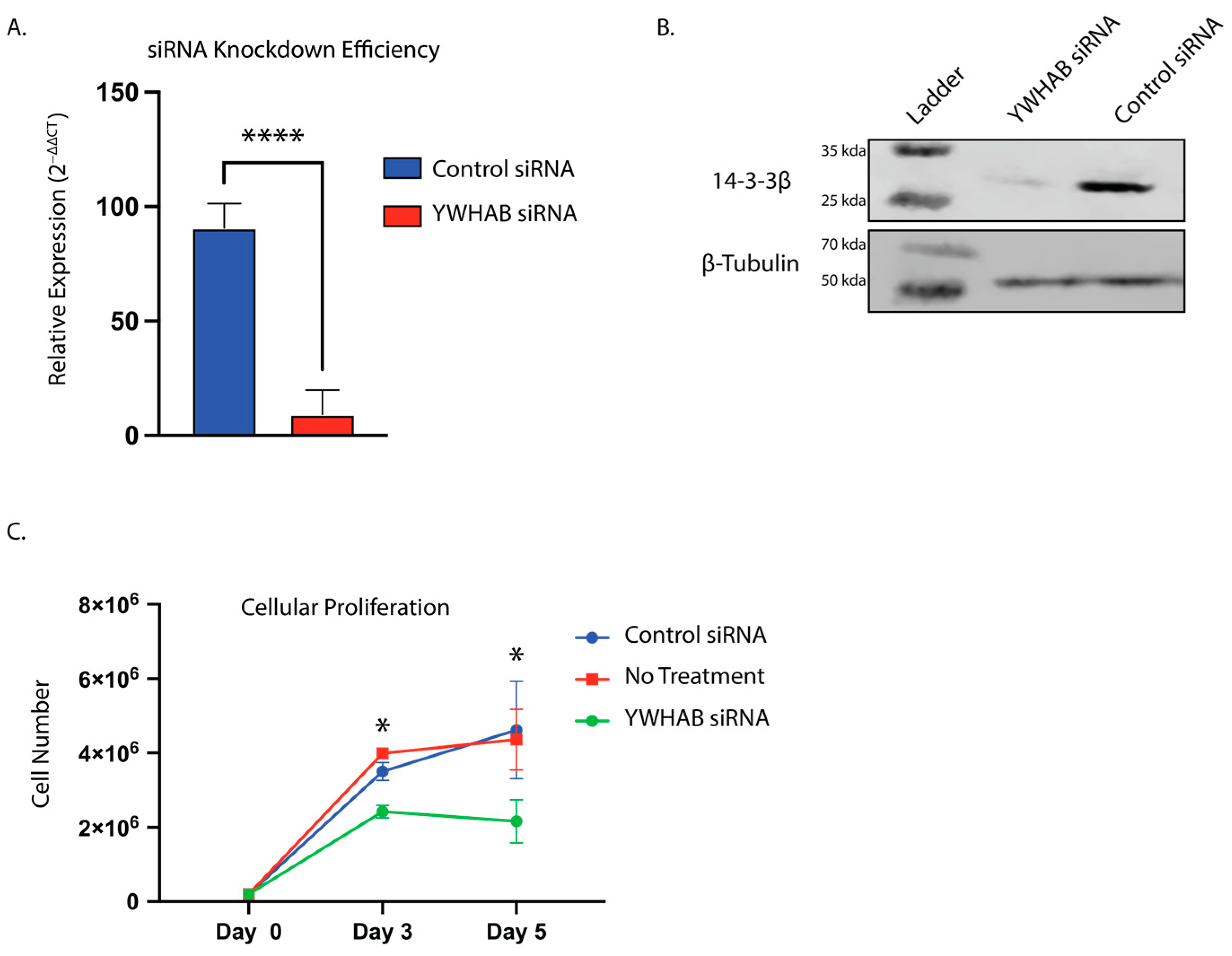 Brainsci 13 00868 g001