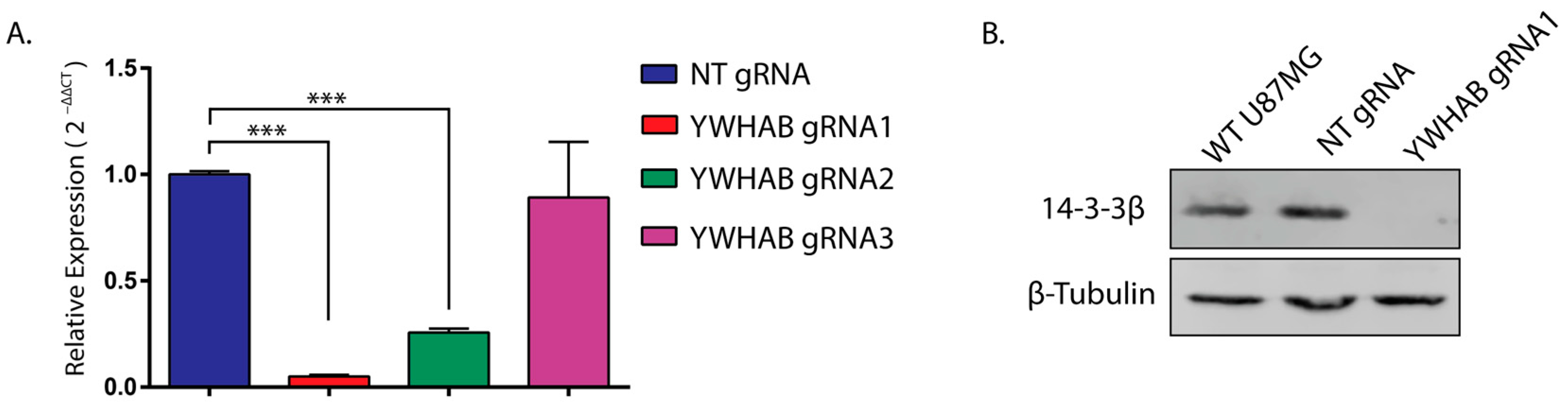 Brainsci 13 00868 g002