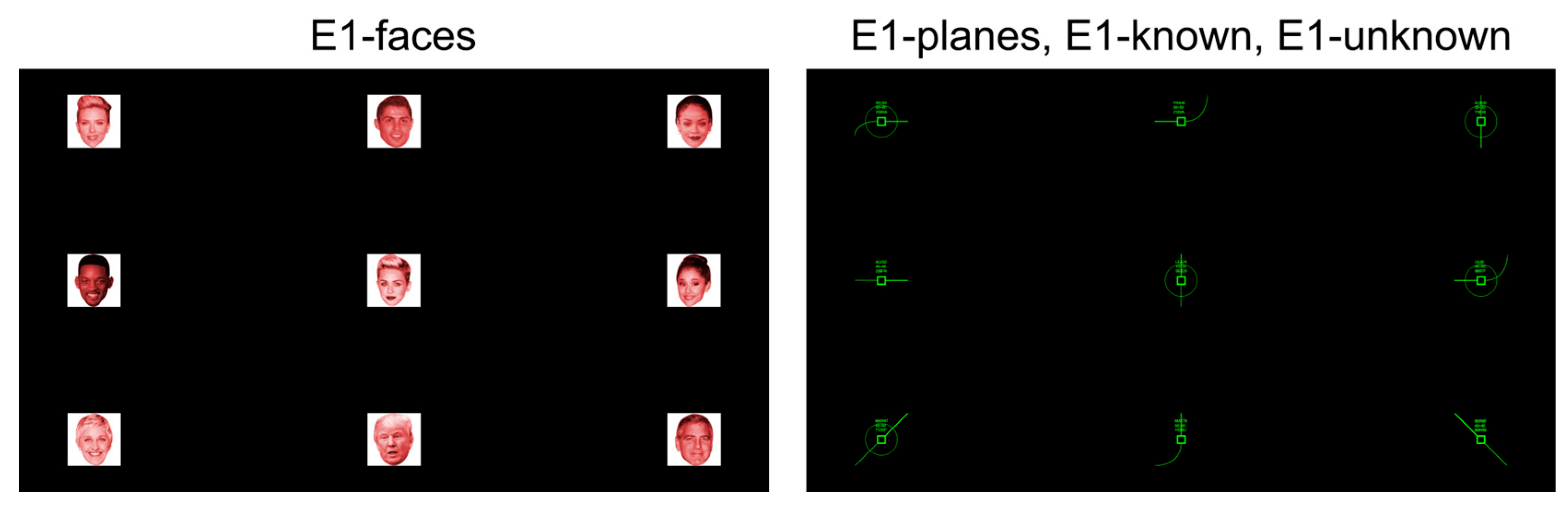 Brainsci 13 00886 g001