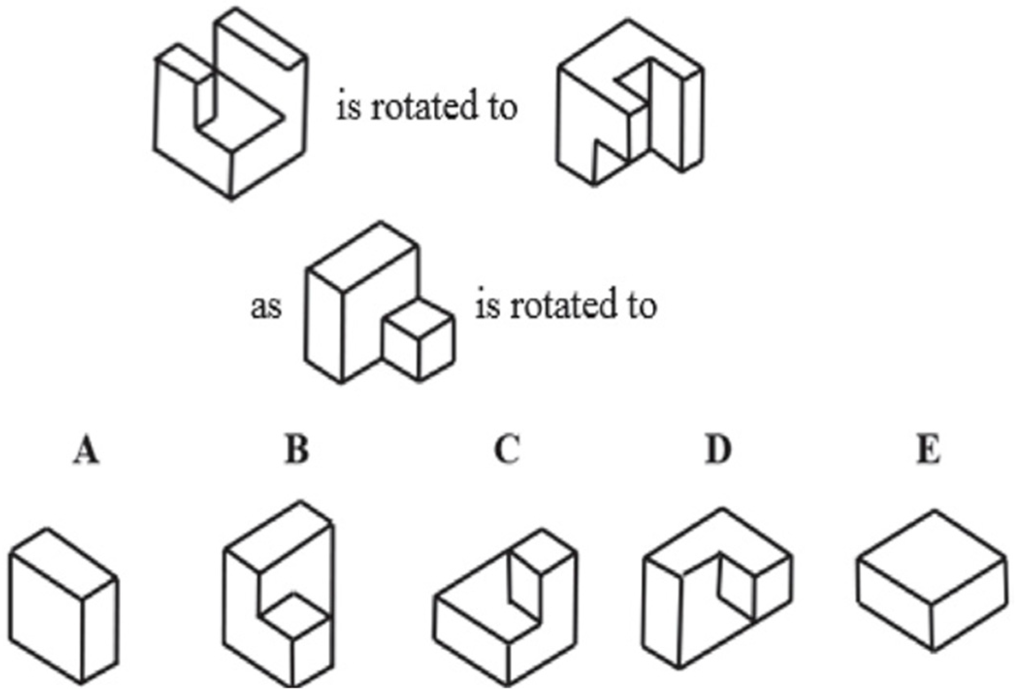 Brainsci 13 00890 g001