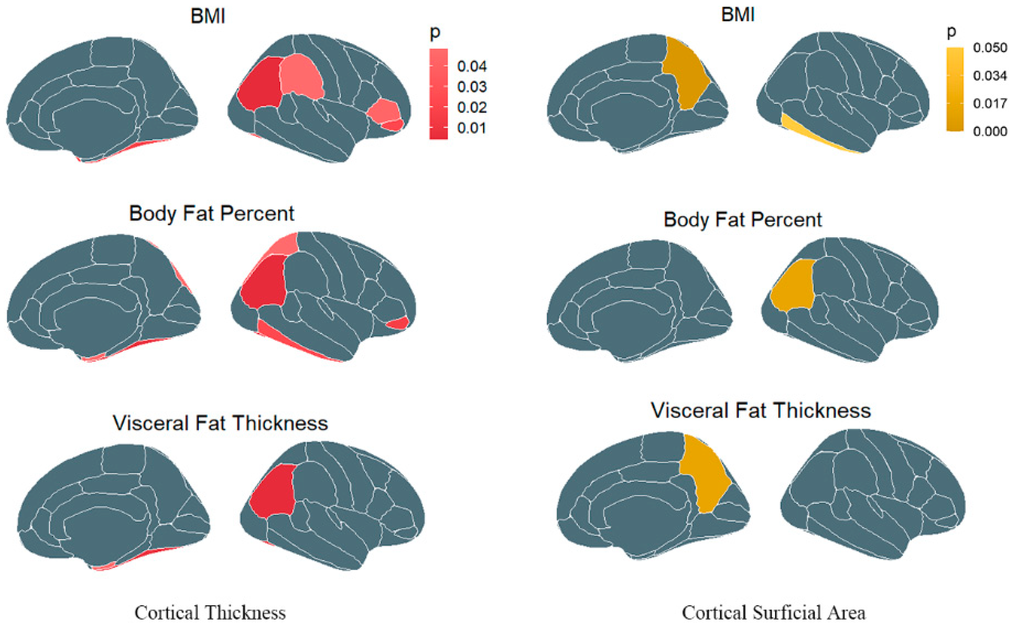 Brainsci 13 00892 g003