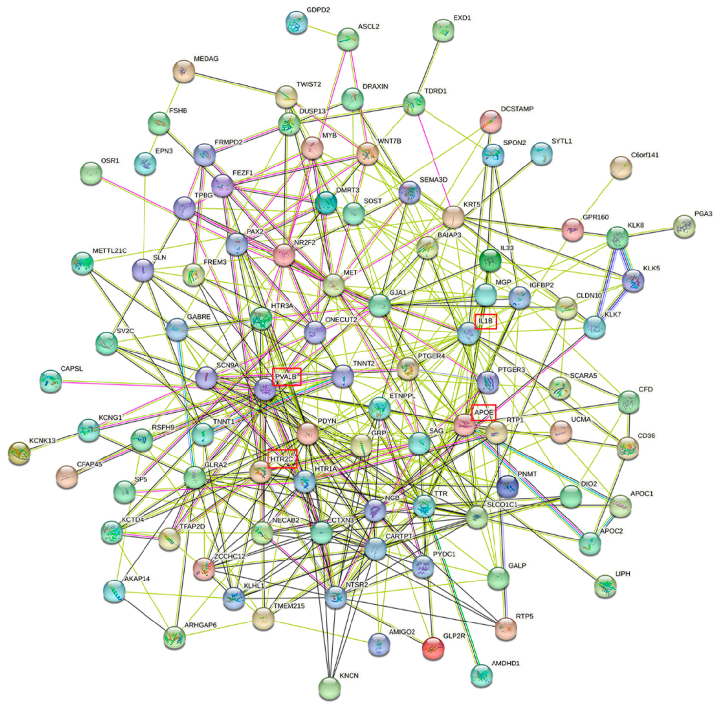 Brainsci 13 00892 g005