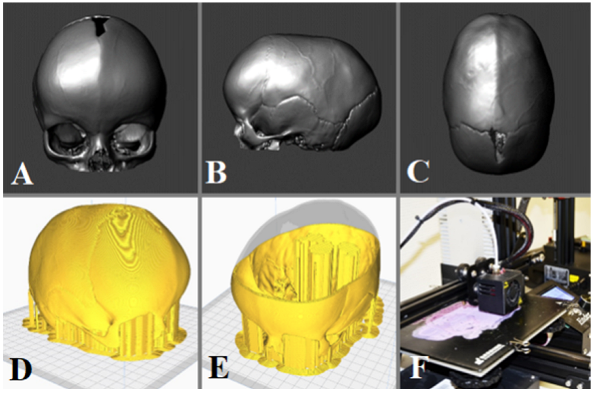 Brainsci 13 00894 g002