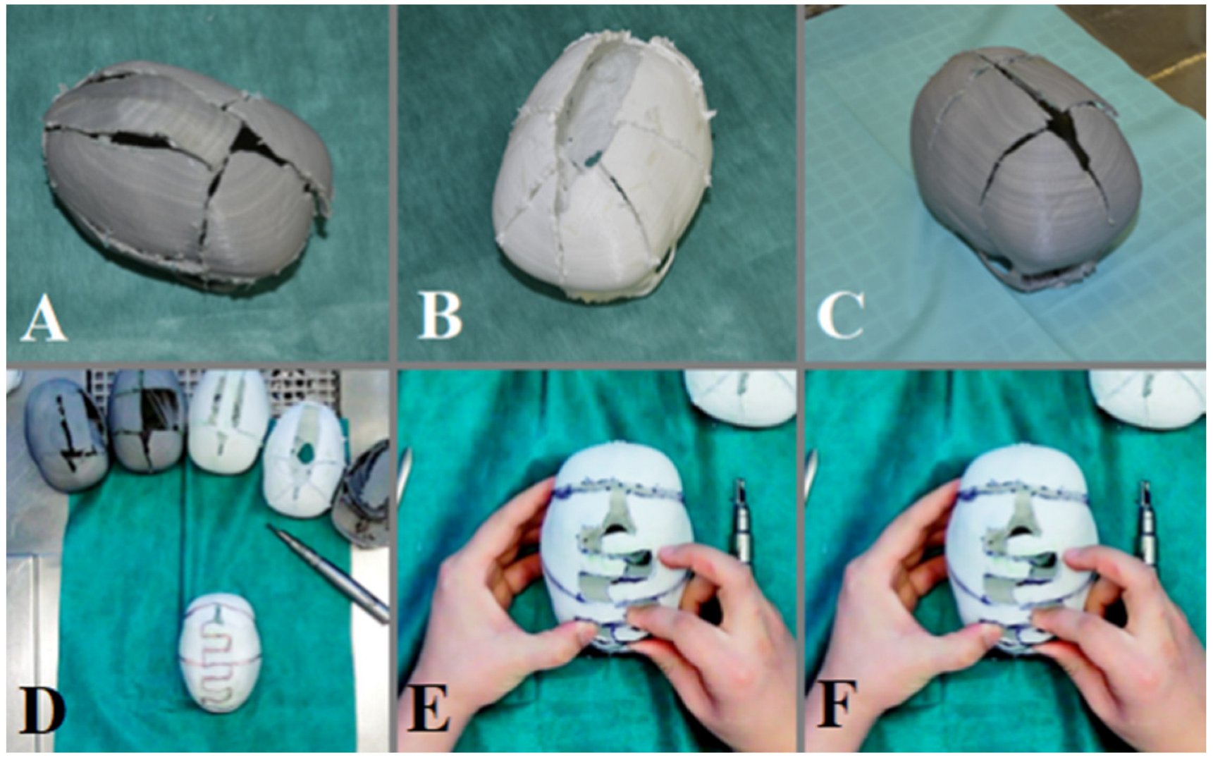 Brainsci 13 00894 g003
