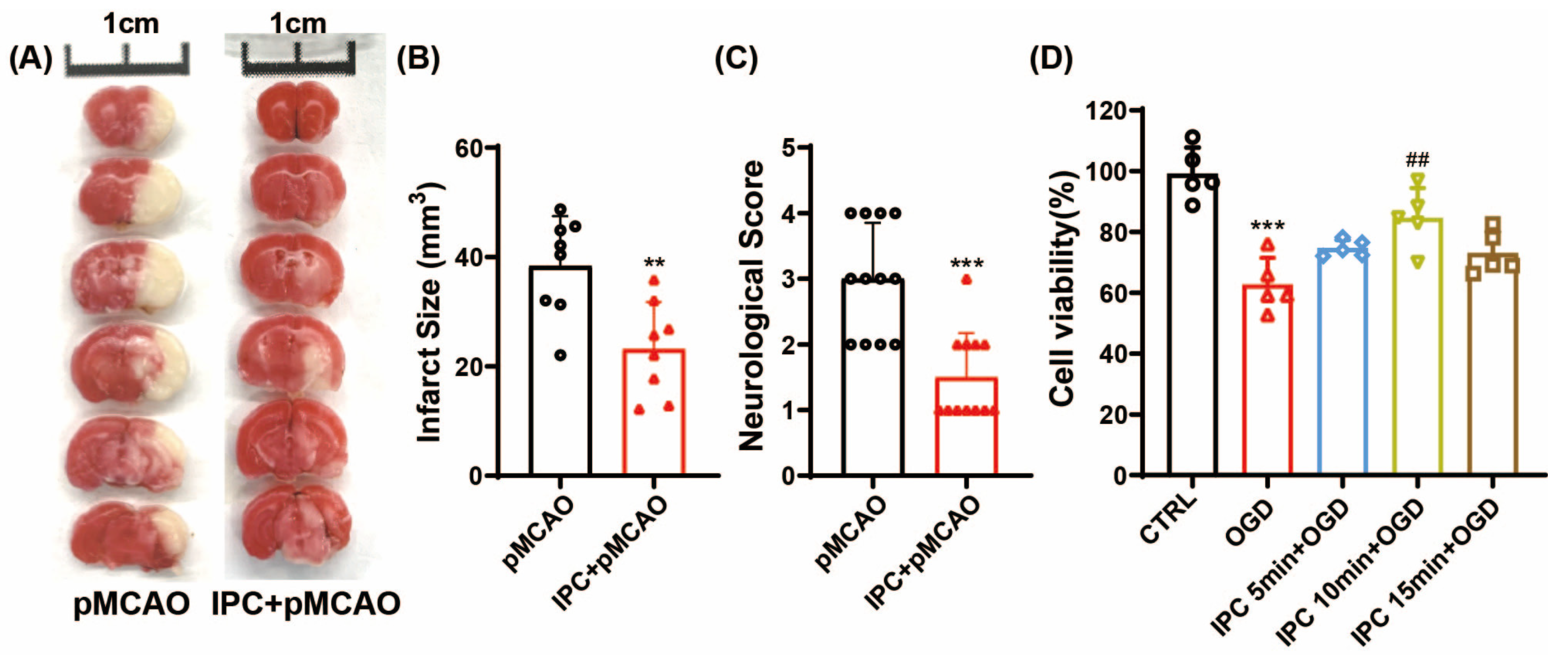 Brainsci 13 00897 g002 Brainsci 13 00897 g002