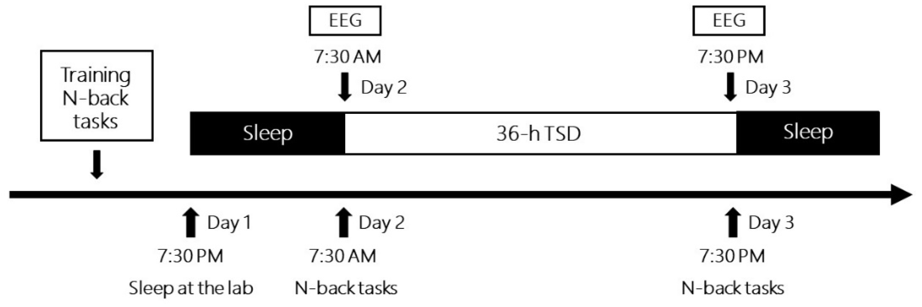 Brainsci 13 00898 g002 Brainsci 13 00898 g002