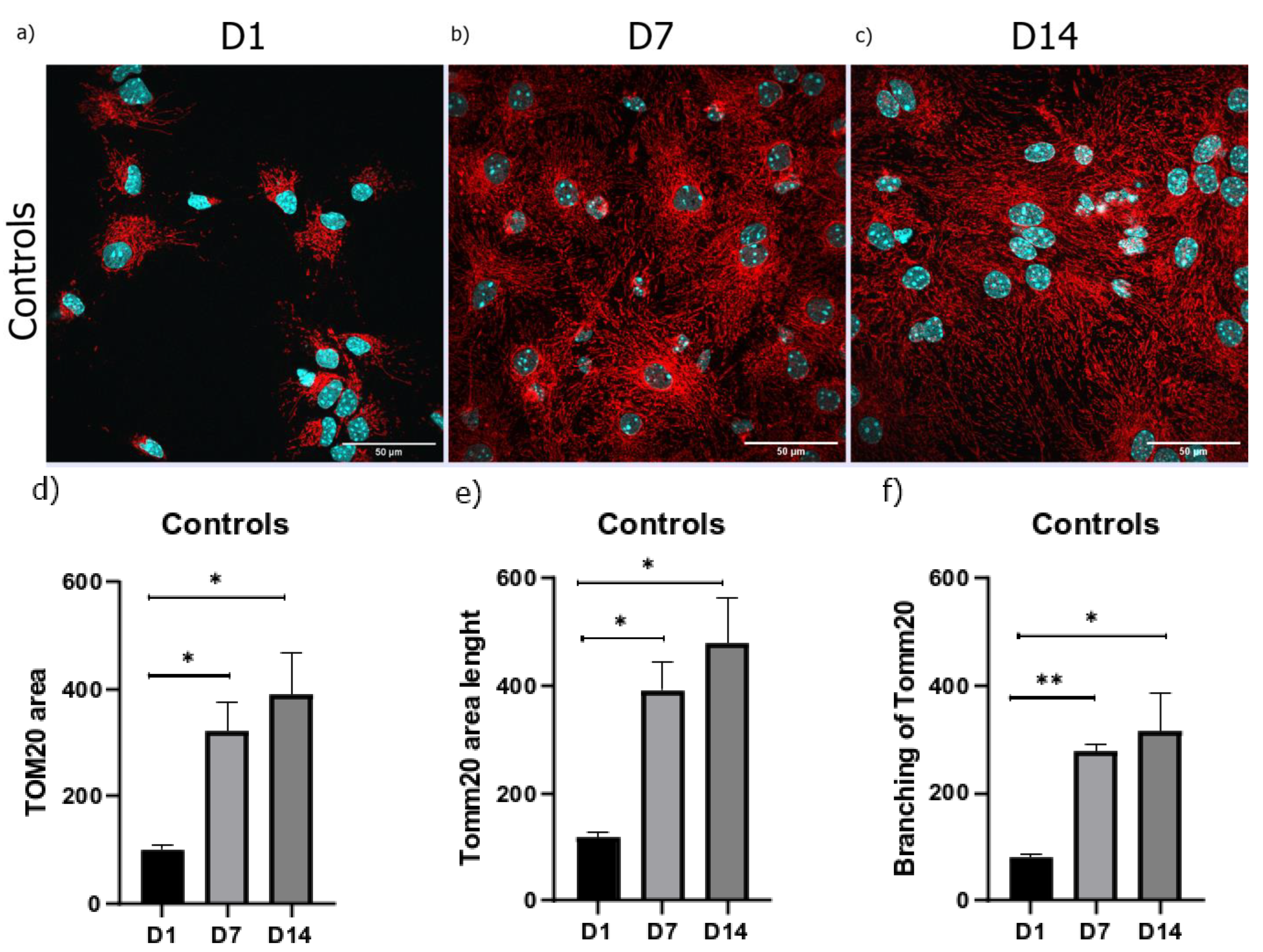 Brainsci 13 00910 g004 Brainsci 13 00910 g004