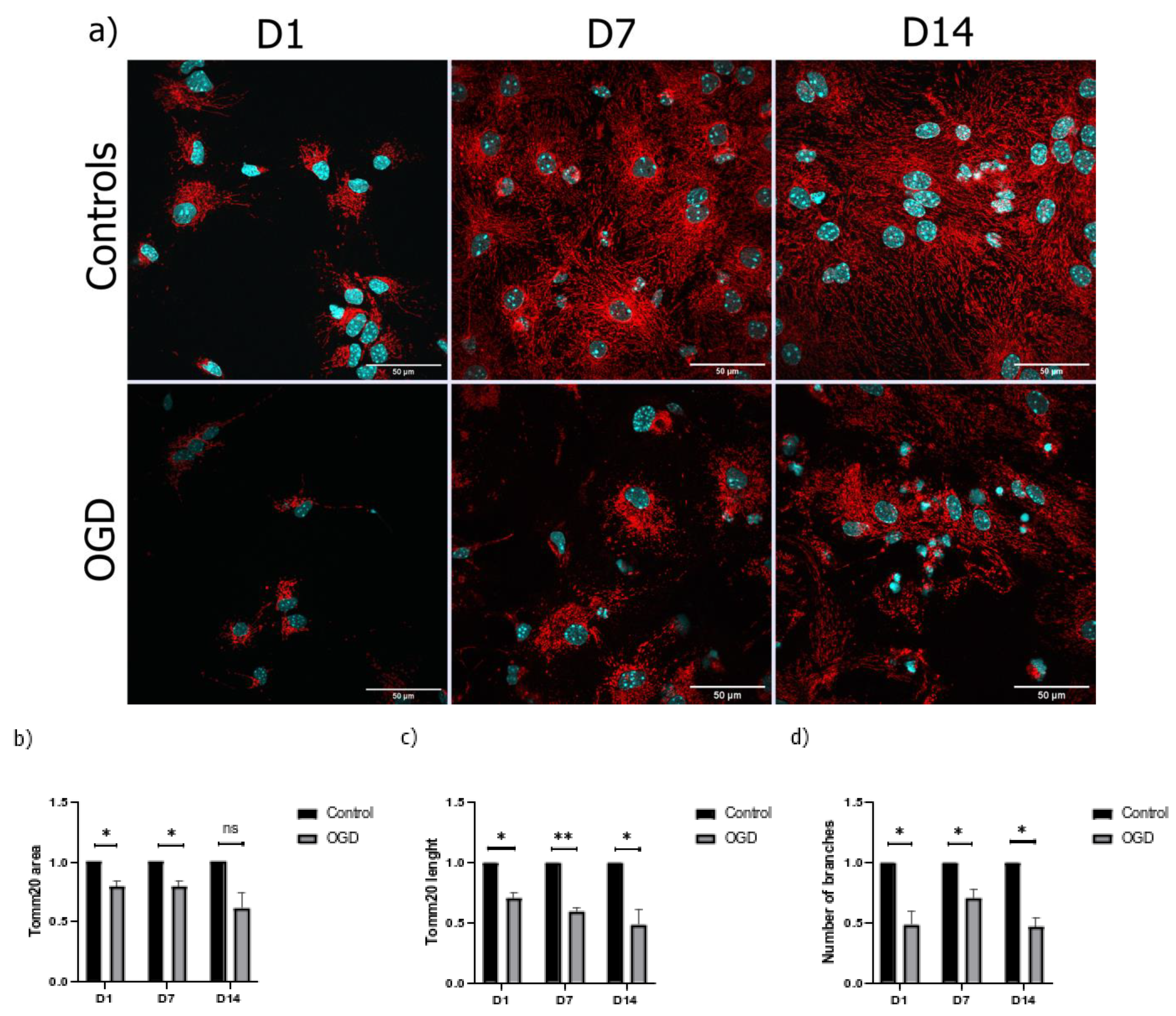 Brainsci 13 00910 g005 Brainsci 13 00910 g005