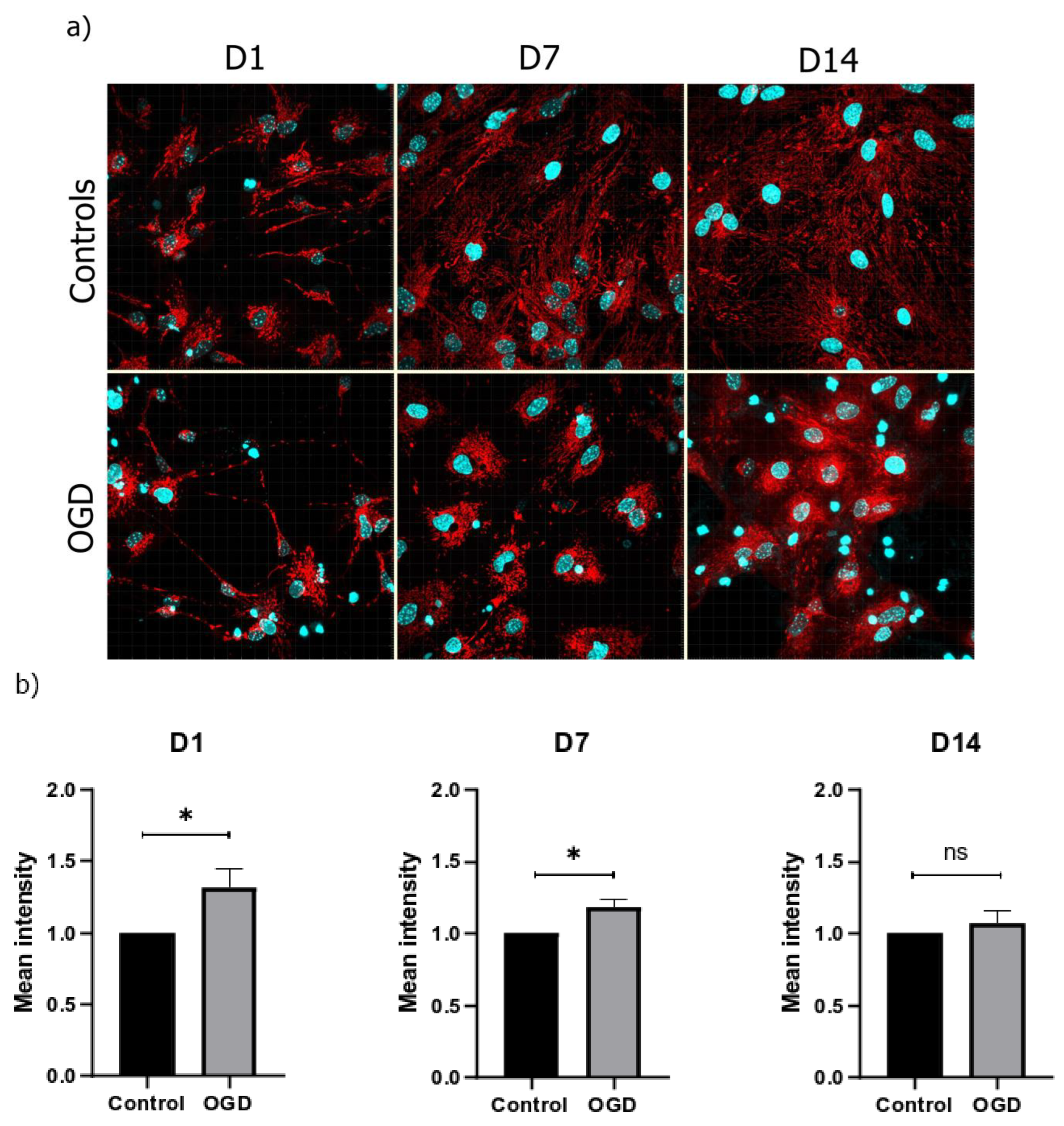 Brainsci 13 00910 g008 Brainsci 13 00910 g008