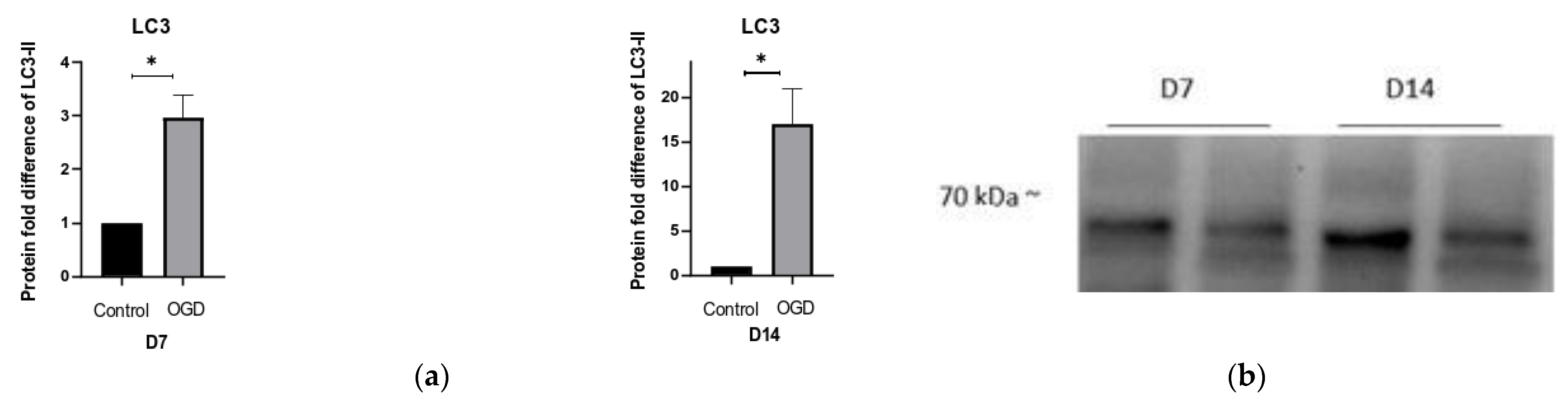 Brainsci 13 00910 g011a Brainsci 13 00910 g011a