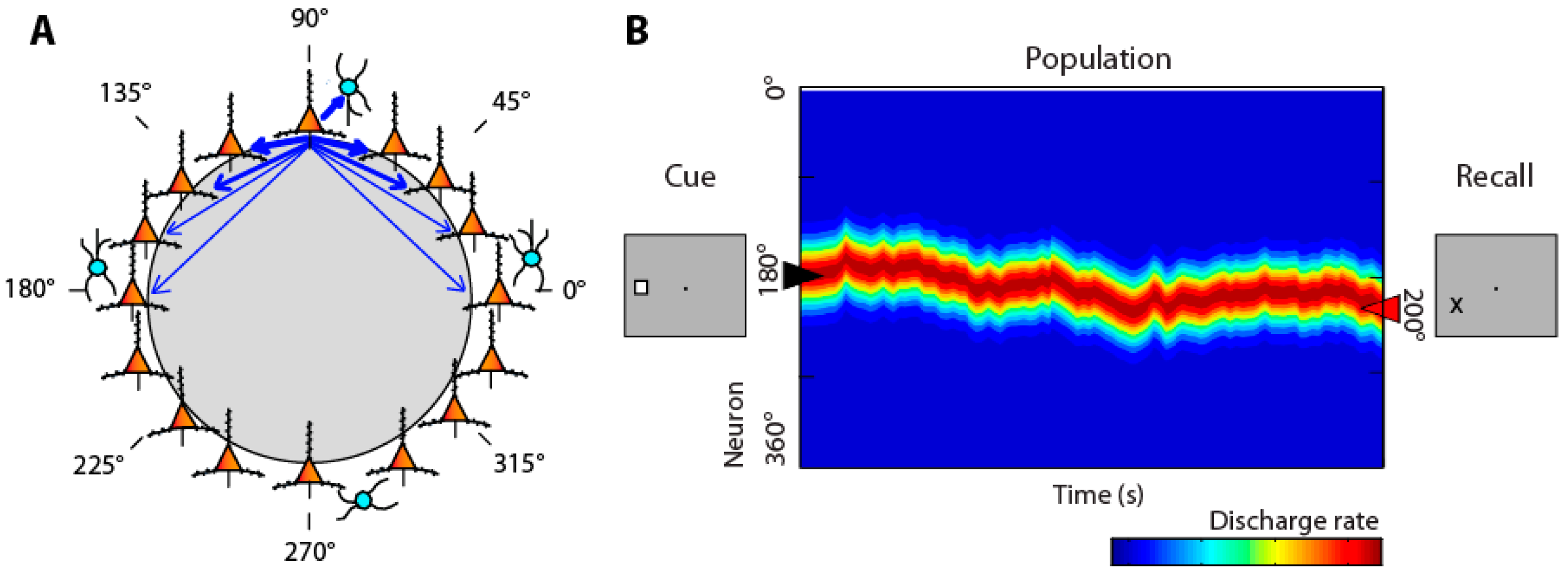 Brainsci 13 00917 g001 Brainsci 13 00917 g001