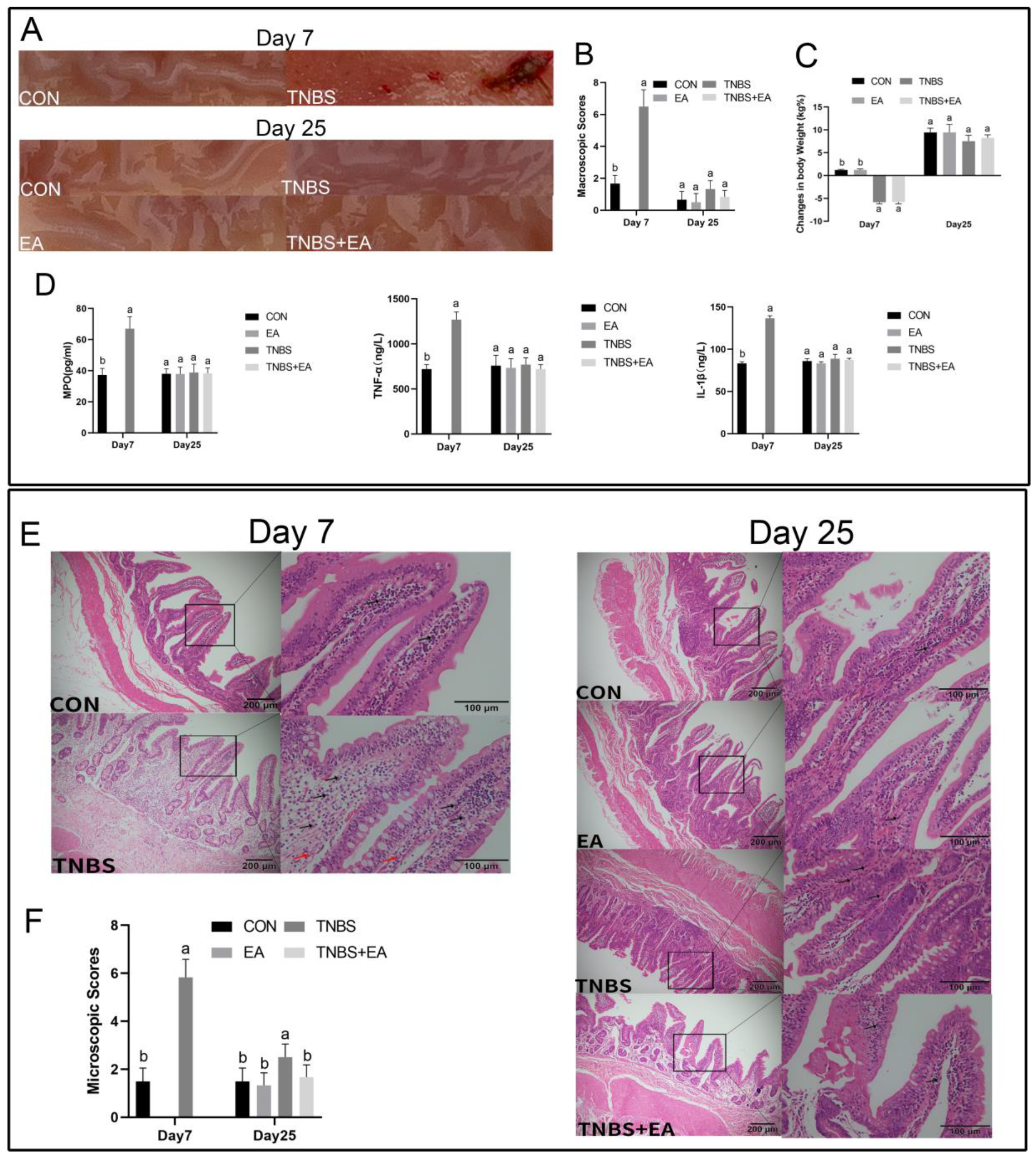 Brainsci 13 00922 g002