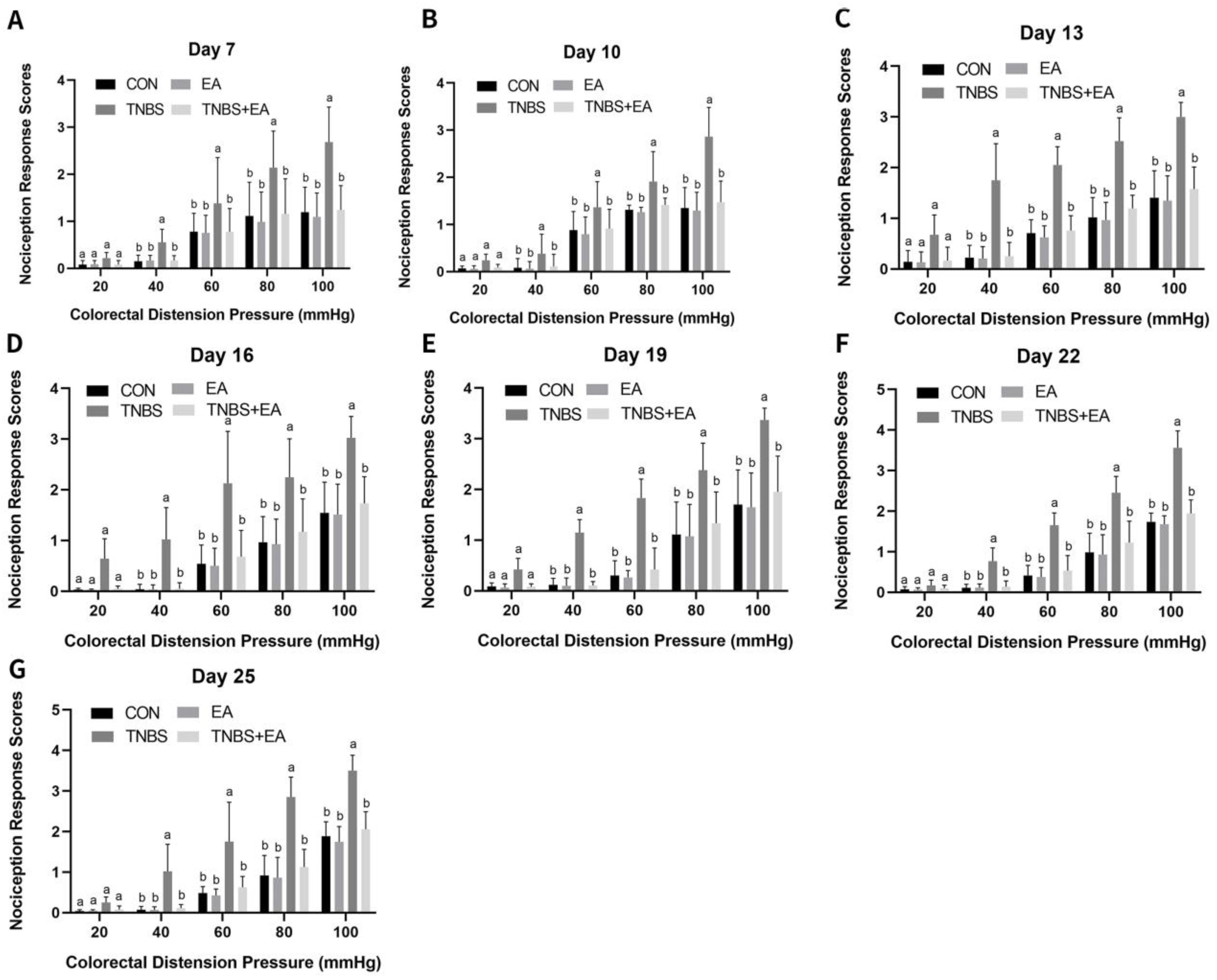 Brainsci 13 00922 g004