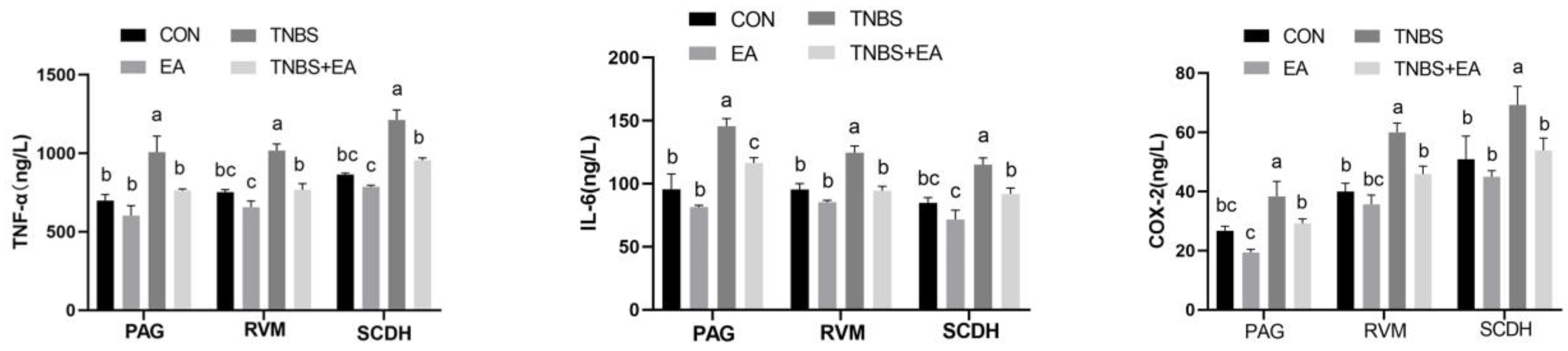 Brainsci 13 00922 g005