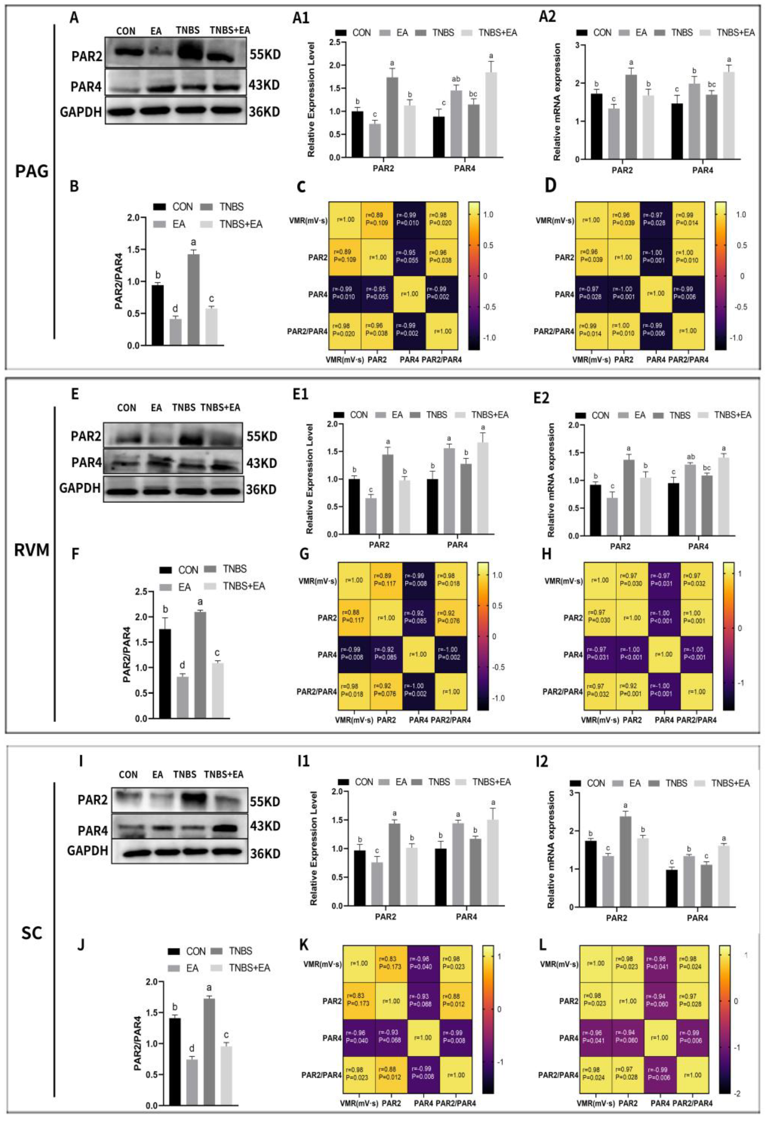 Brainsci 13 00922 g006