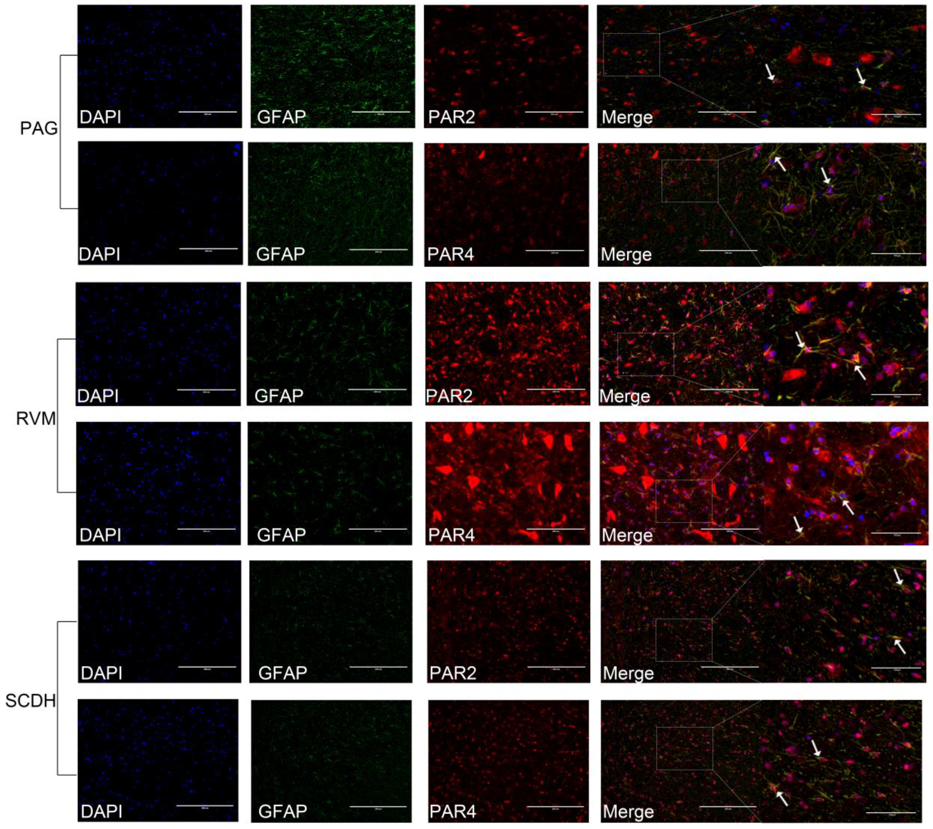 Brainsci 13 00922 g008